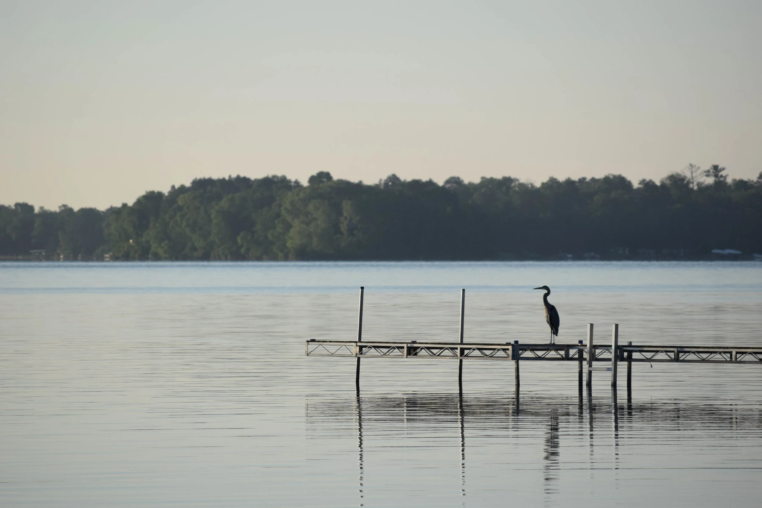 A good story for Mom's blog