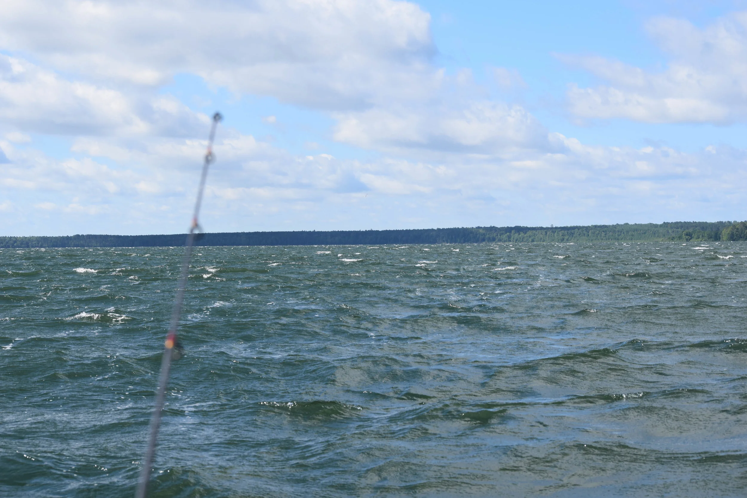 Wake up! You need to catch Sunnies!