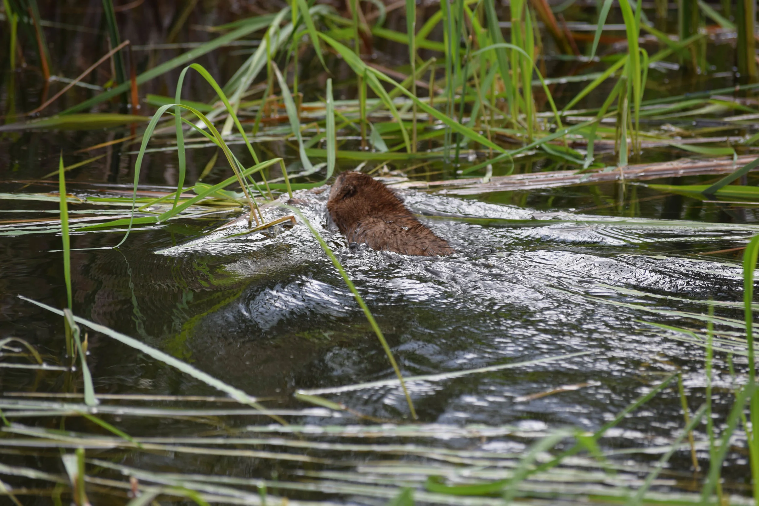 What to do on a windy, rainy day