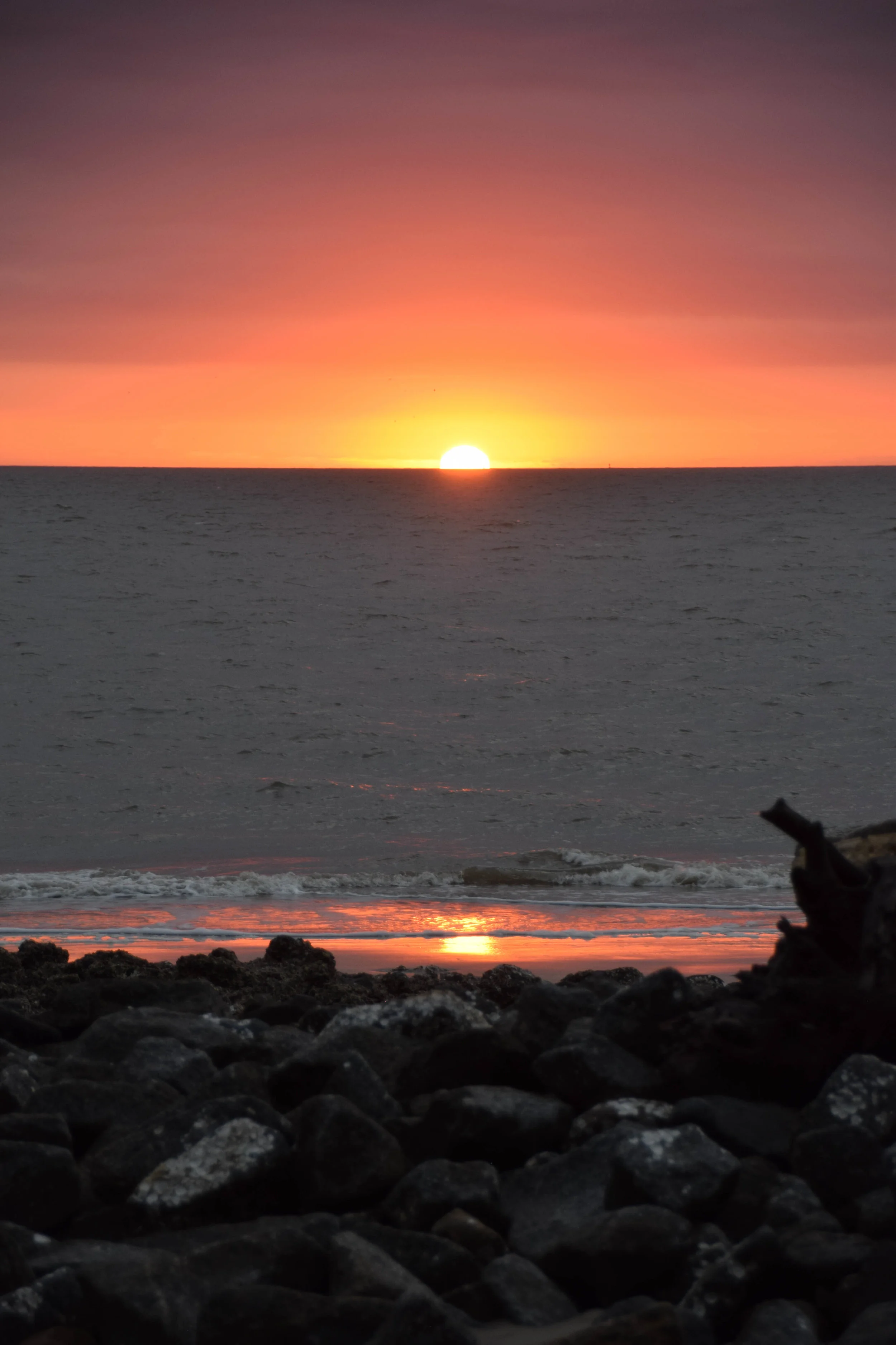 Sunrise, Driftwood and Sea Turtles