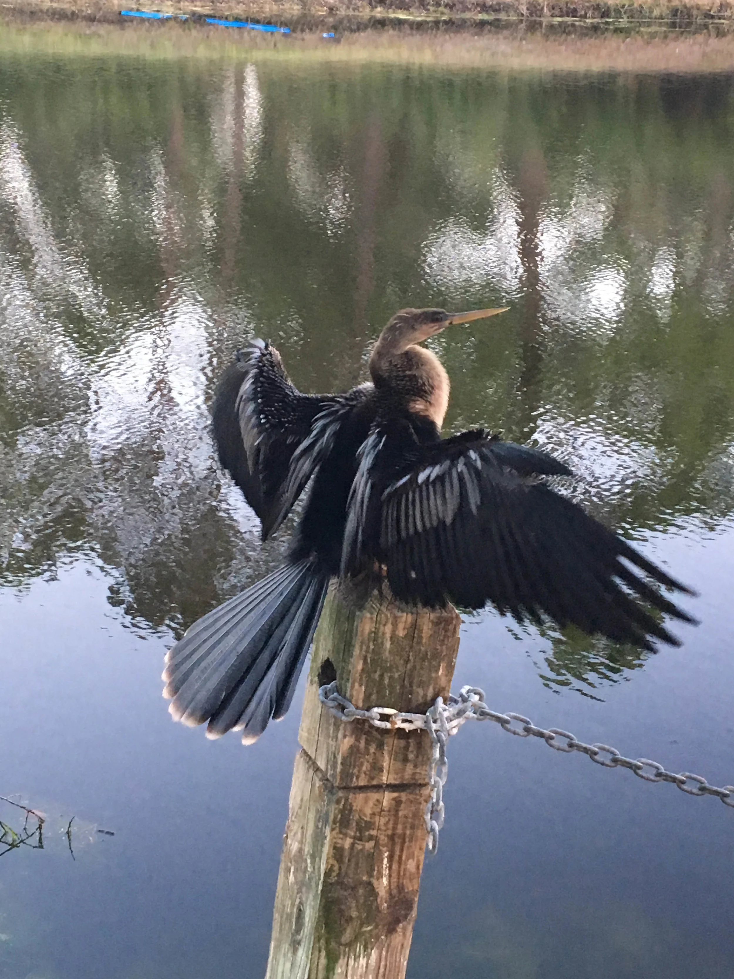 Meeting strangers, helping strangers