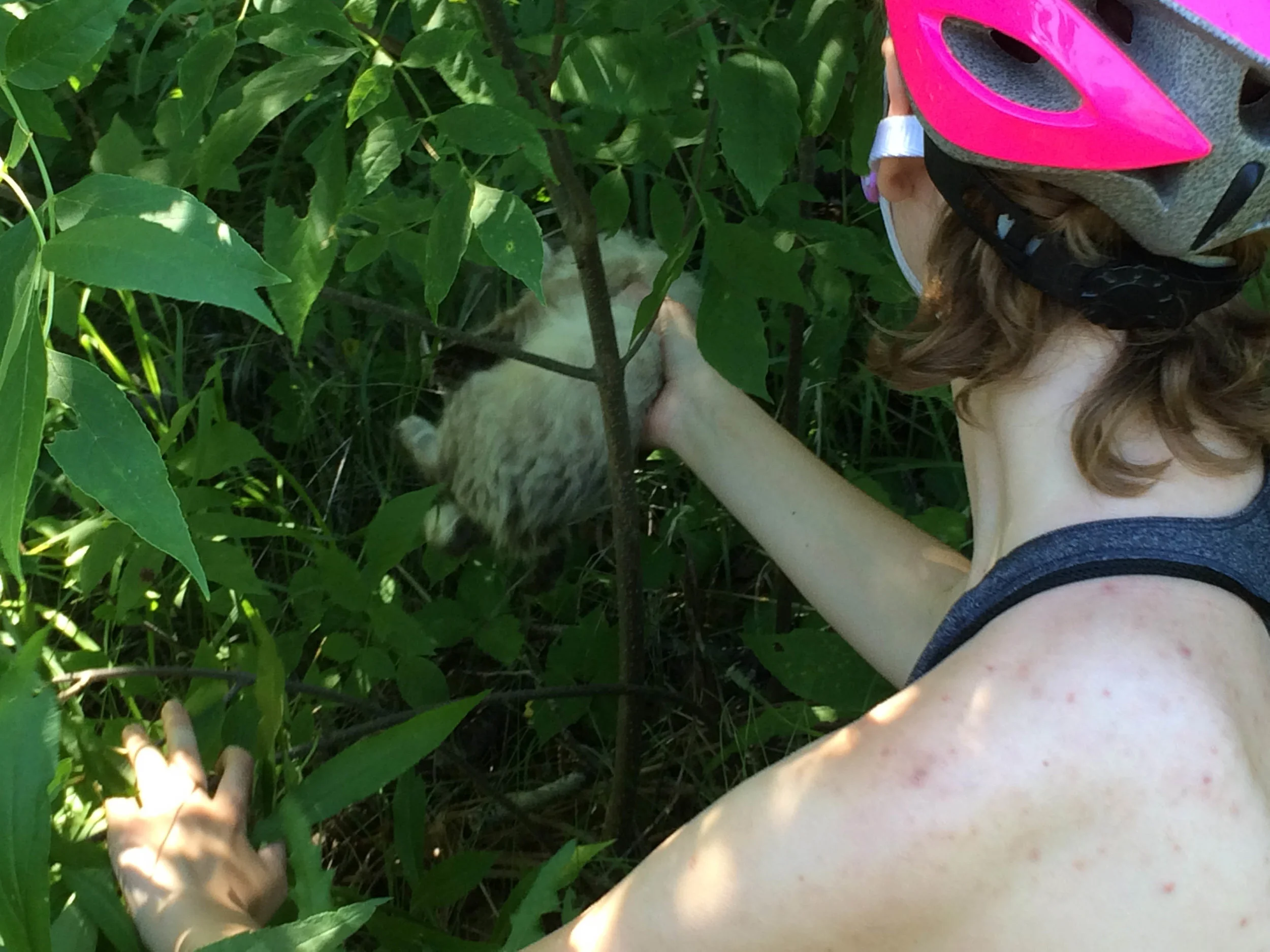 2015-07-07 002 014