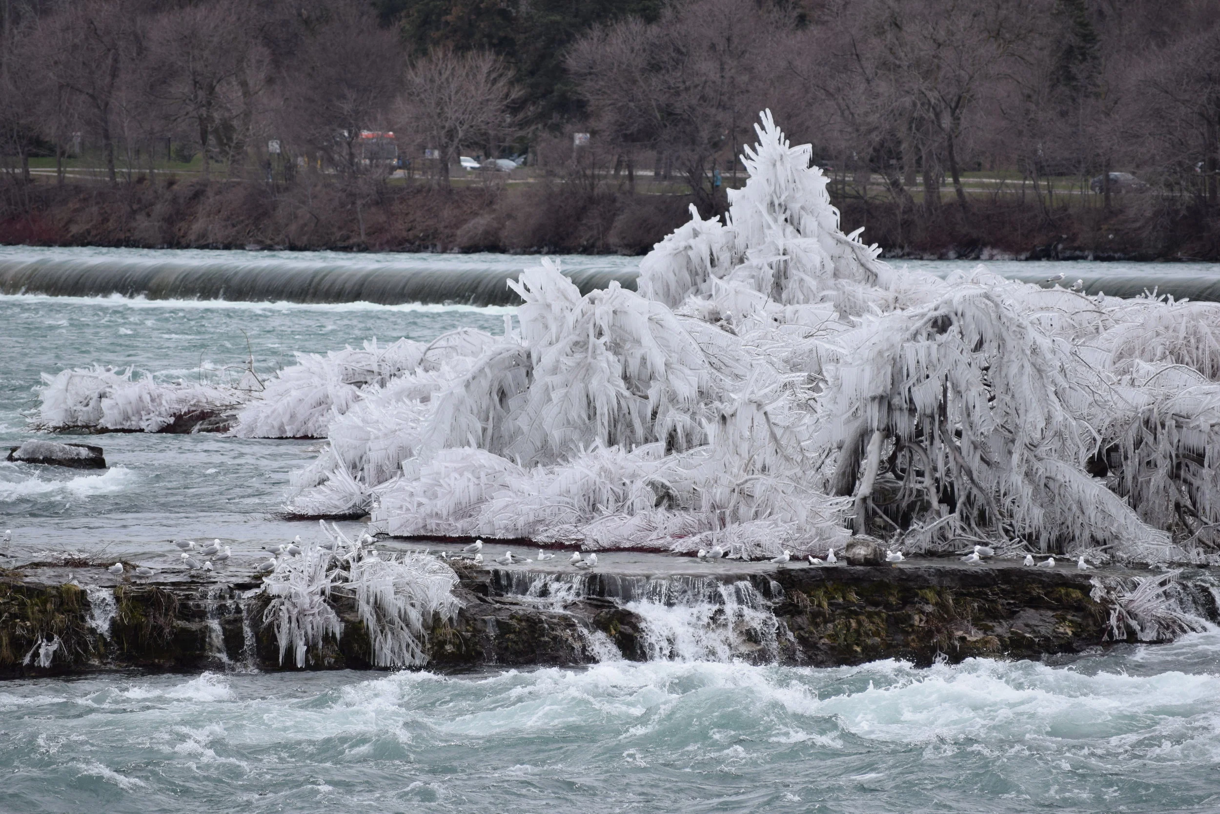 Niagara Falls (Day 2) 085