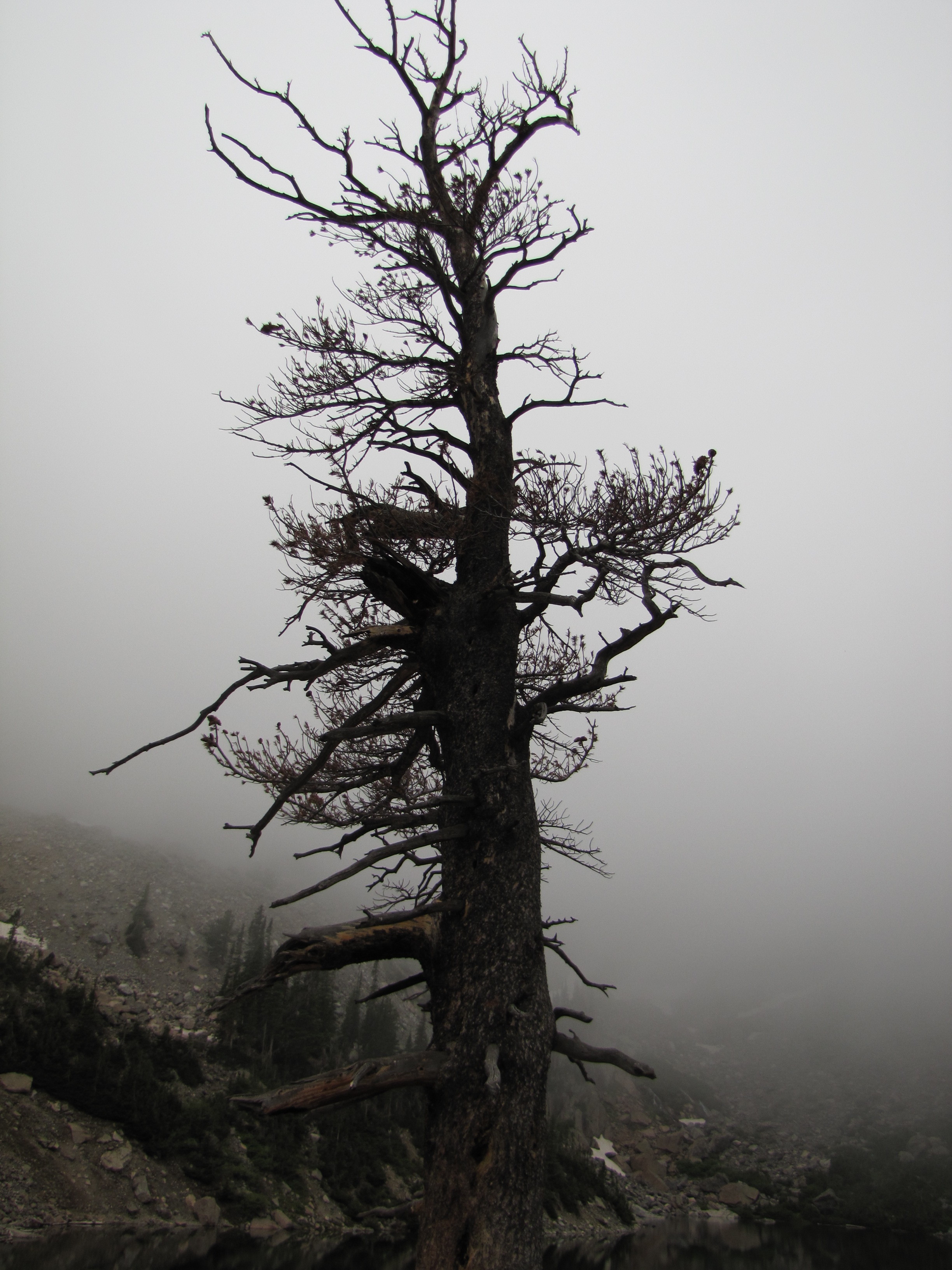 Rainy days can't dampen our spirits!