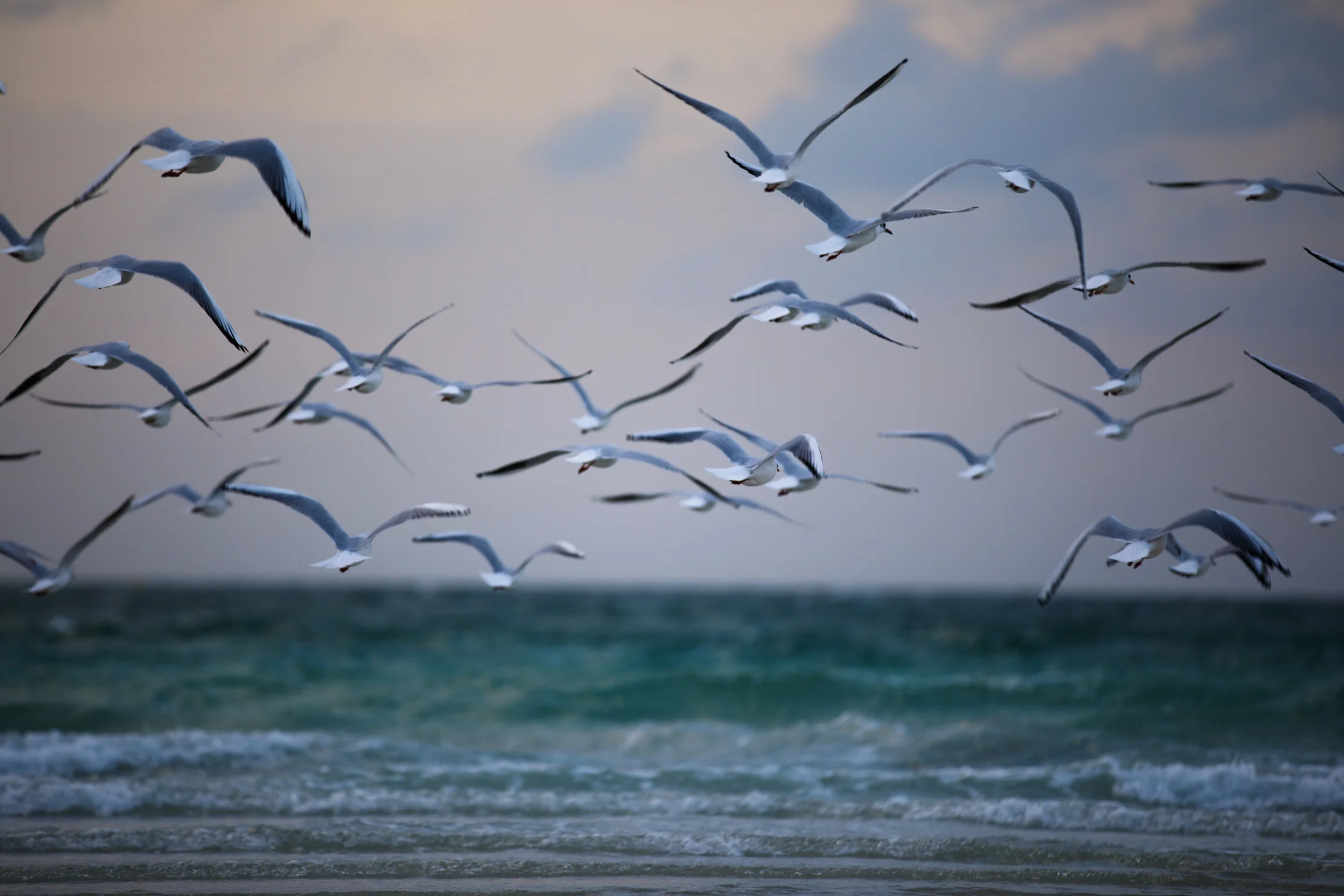 In Search of Warmer Weather