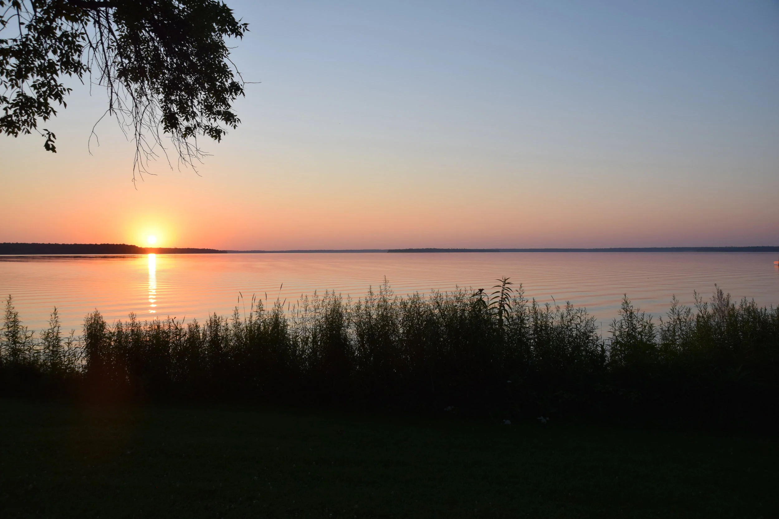 DSC_0935.jpg