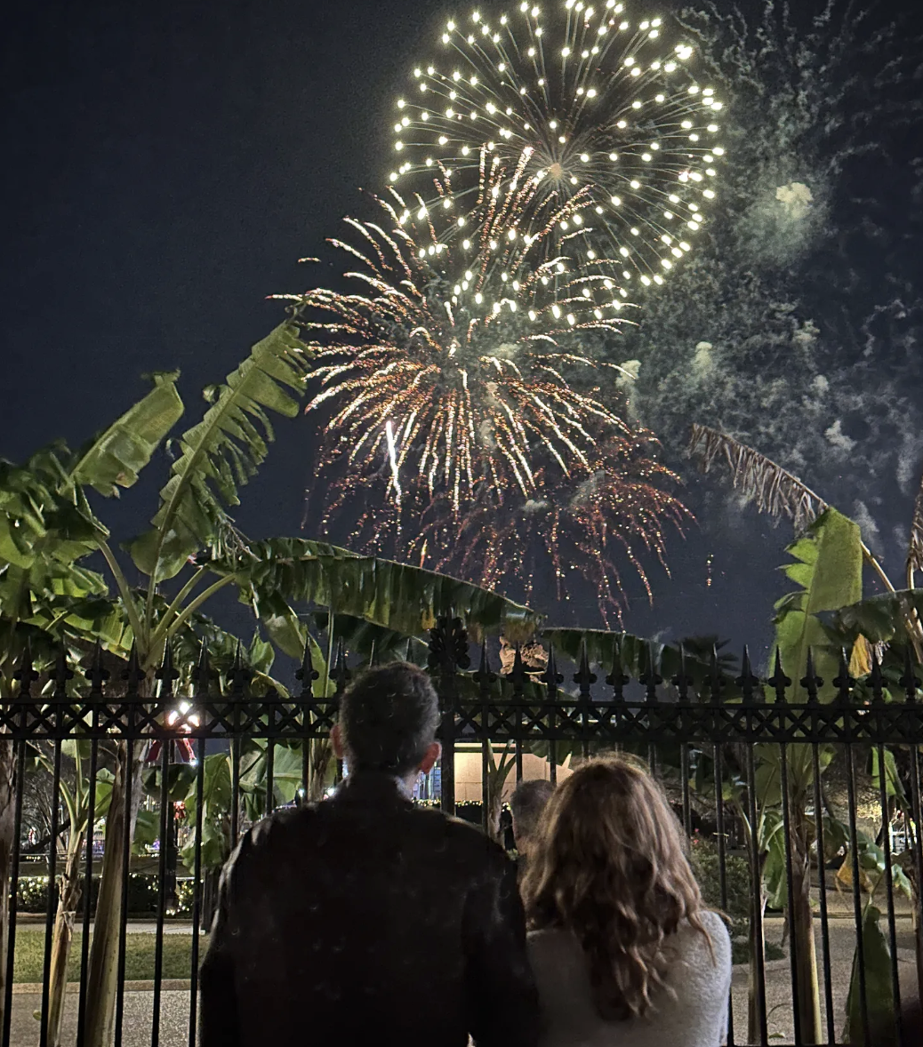 Our Happy, Horrific, New Orleans New Year (part 2 of 3)