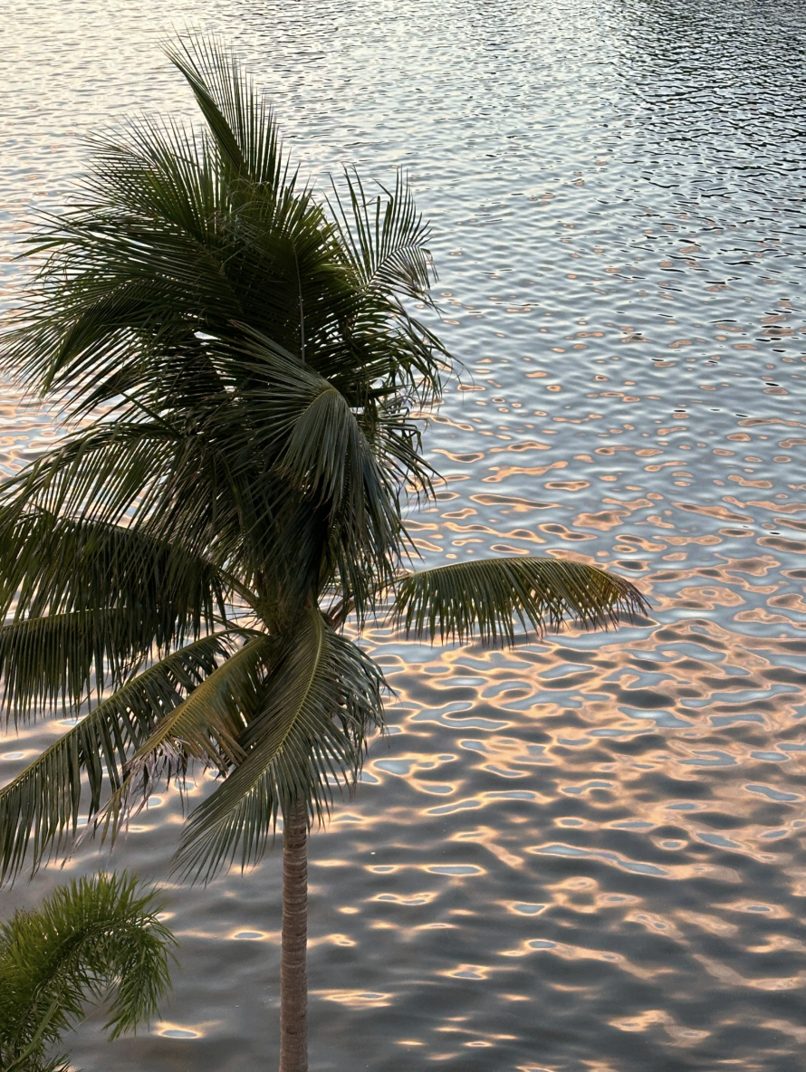 Hurricane Aftermath: Can I Share a Little Treasure?