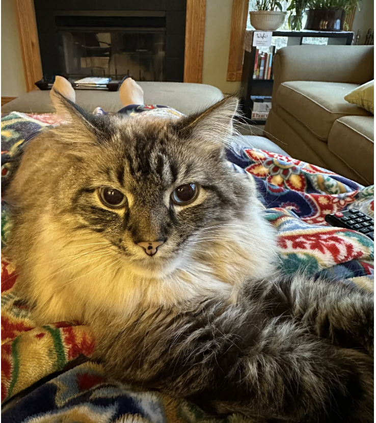 The Recliner: My New Best Friend