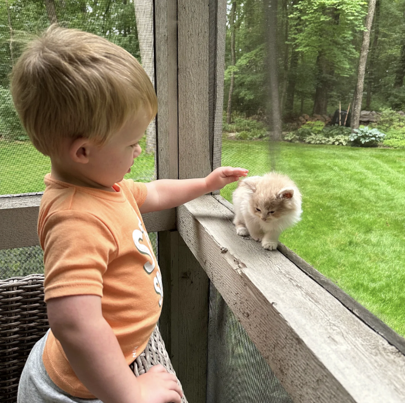 Herding Cats and Harnessing Distractions