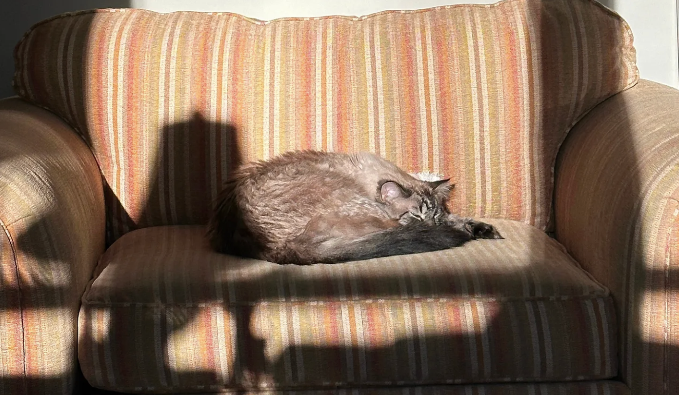 When Exhaustion Creeps In, Know It's Fine to Take a Nap