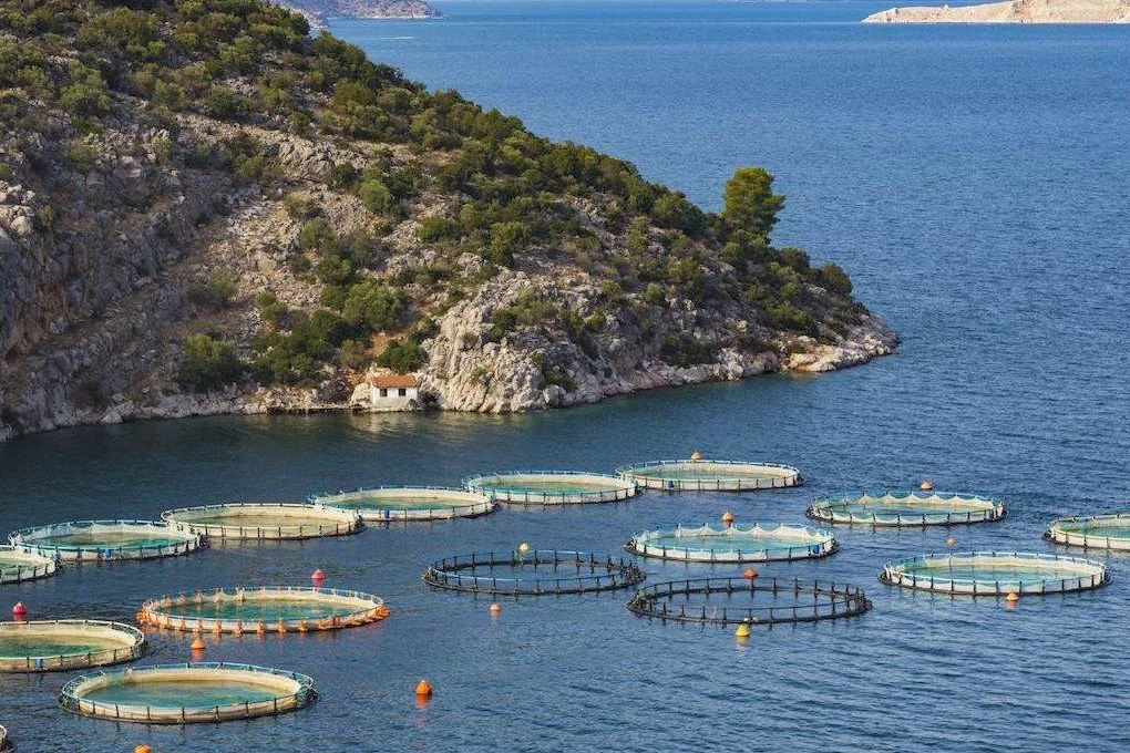 fish farming.jpg