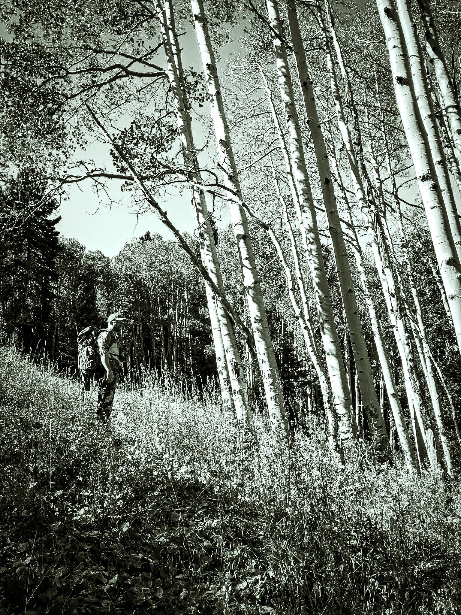 The Final Hike