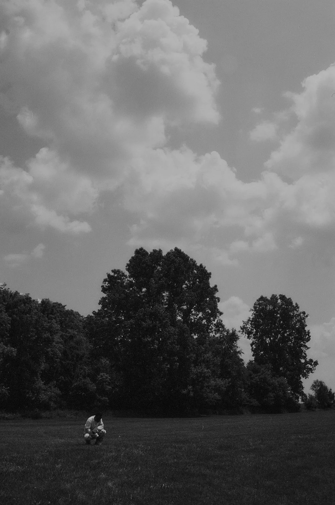 000195980006.jpg