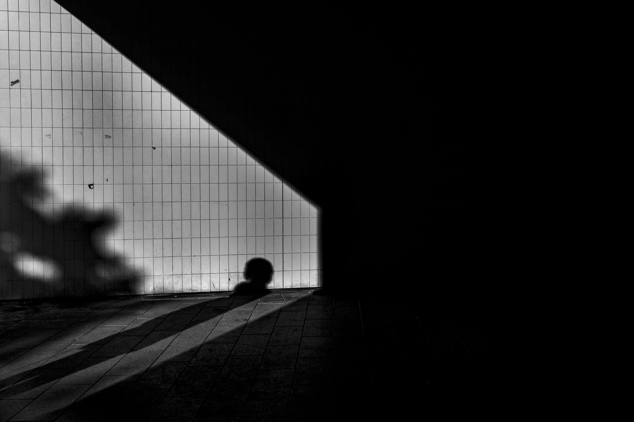 tunnel silhouettes -1.jpg