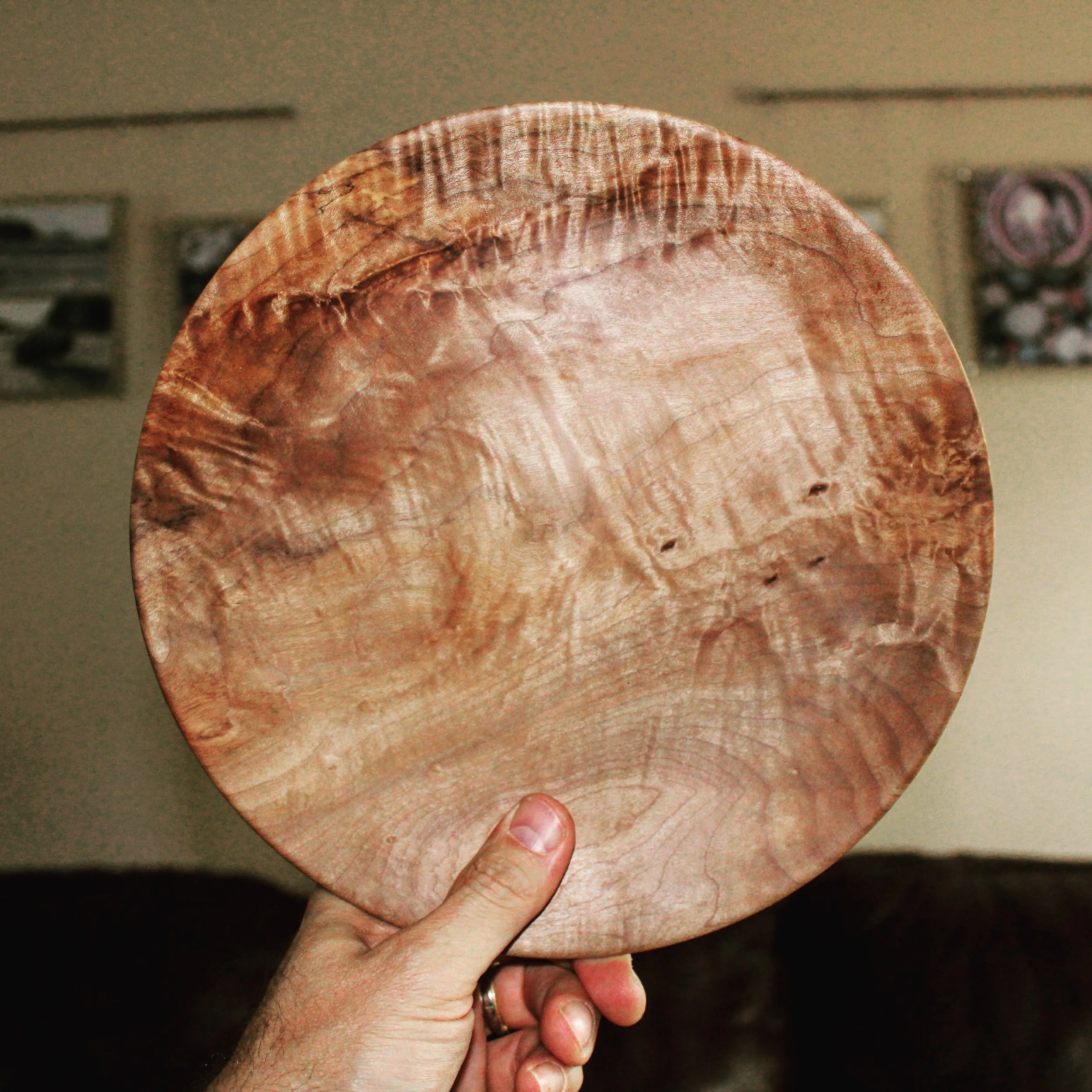 Big Leaf Maple Burl