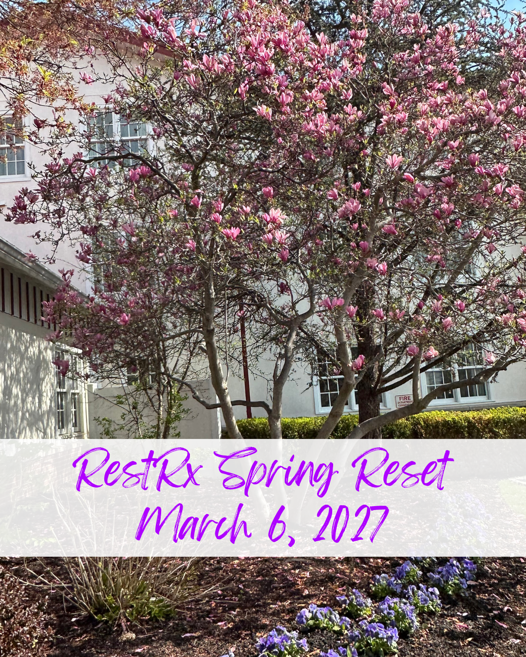 Retreat Graphics 2025 (Instagram Post (45)).png