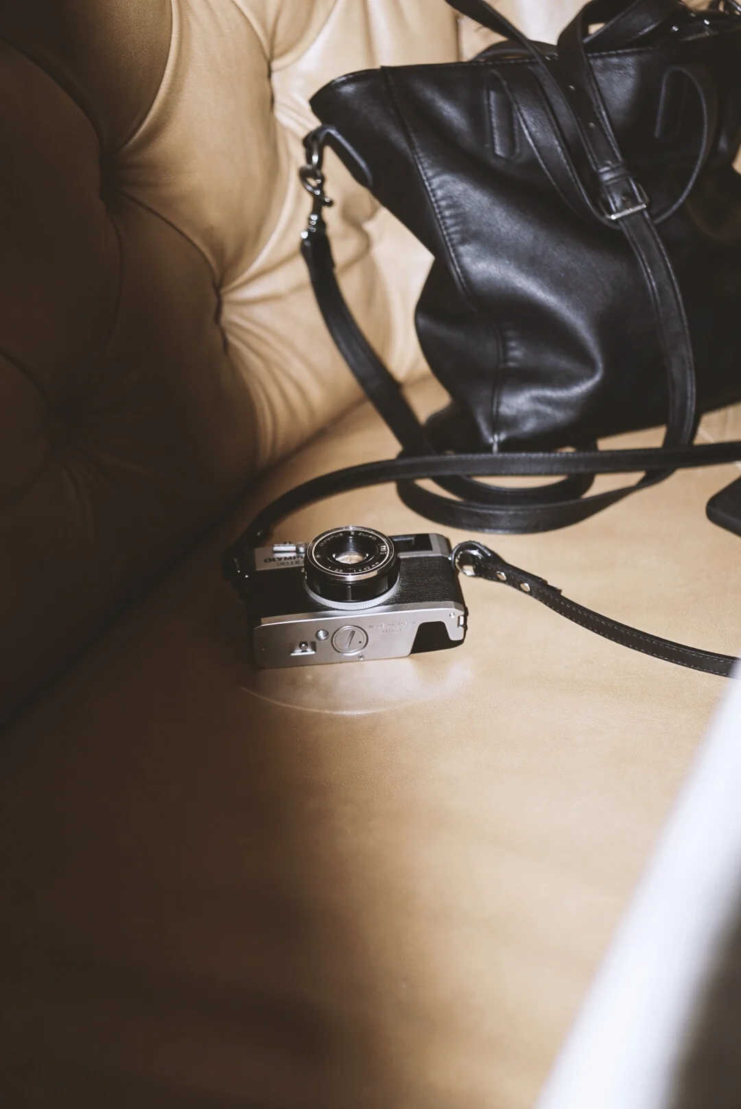 RNI-Films-IMG-63A4089A-2ADC-4548-8C8F-CA50FA07F51D.jpeg