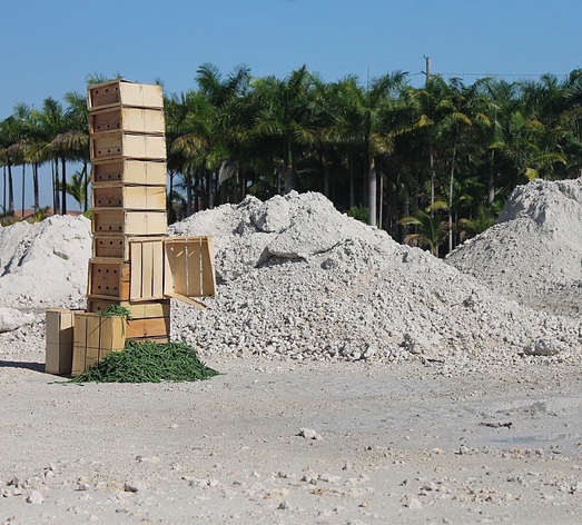 Untitled, 2015 wood, nails, beans. Homestead, FL