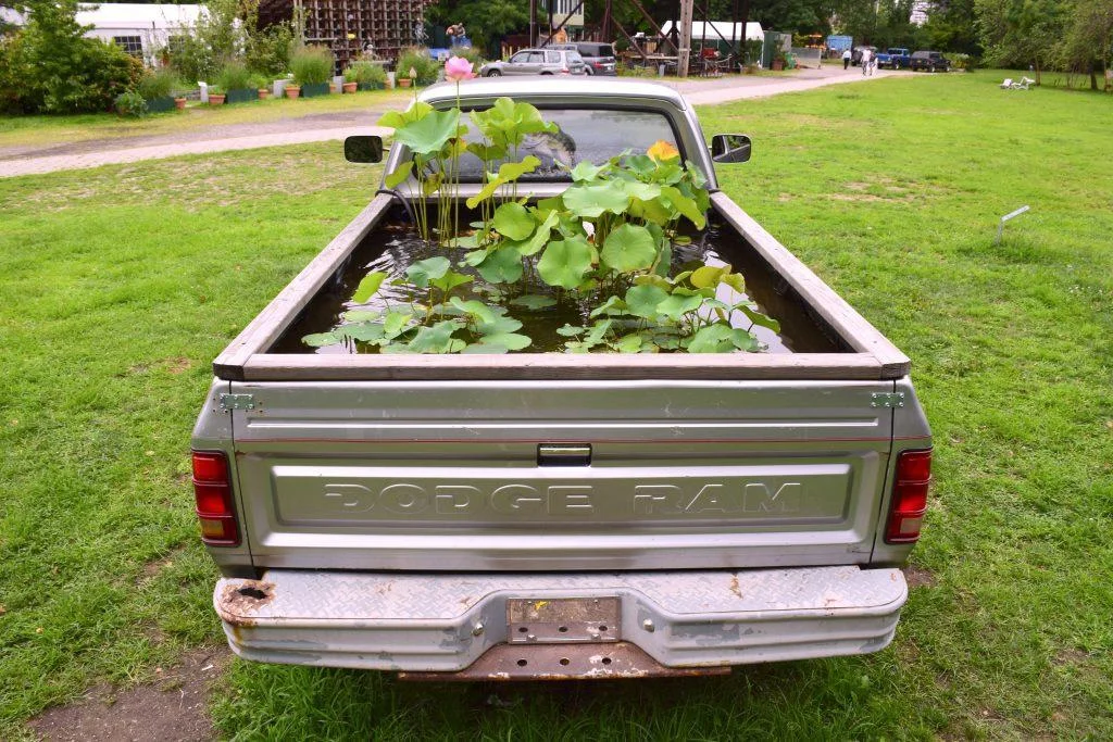 Artist Talk with Virginia Overton