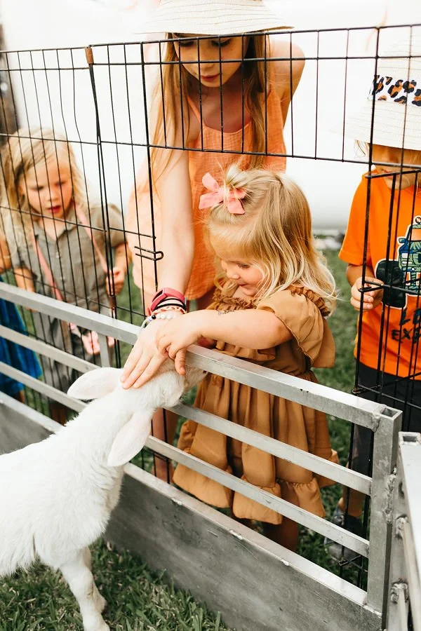 pettingzoo4.jpeg