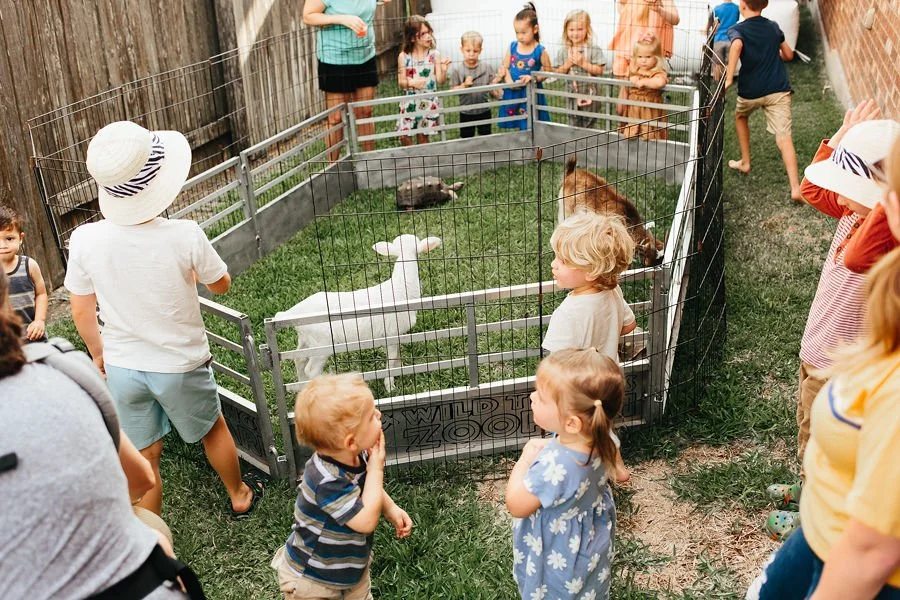 pettingzoo.jpeg