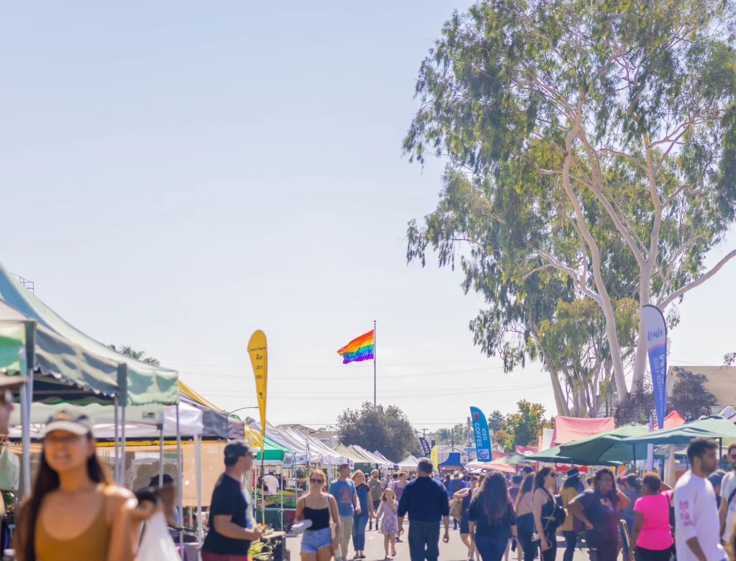 Eat seasonally with fresh produce, plants, and products from Hillcrest Farmers Market. 

📍: Sundays, 9 AM - 2 PM