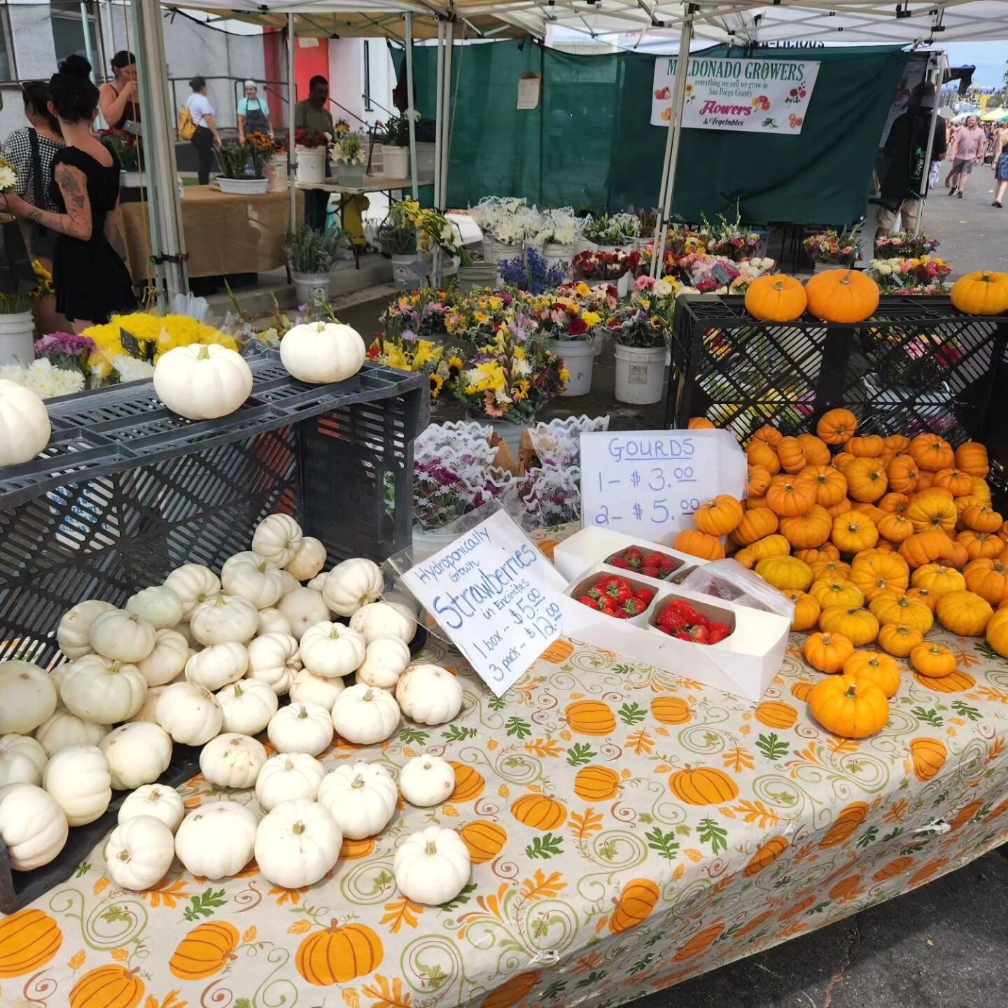 Fall goodies are now available.
🎃👻🍄 

Visit over 175 fabulous vendors for all your food, home, and fall needs.

📸 2 @maldonado_growers // 3 @duelgrowersfarm