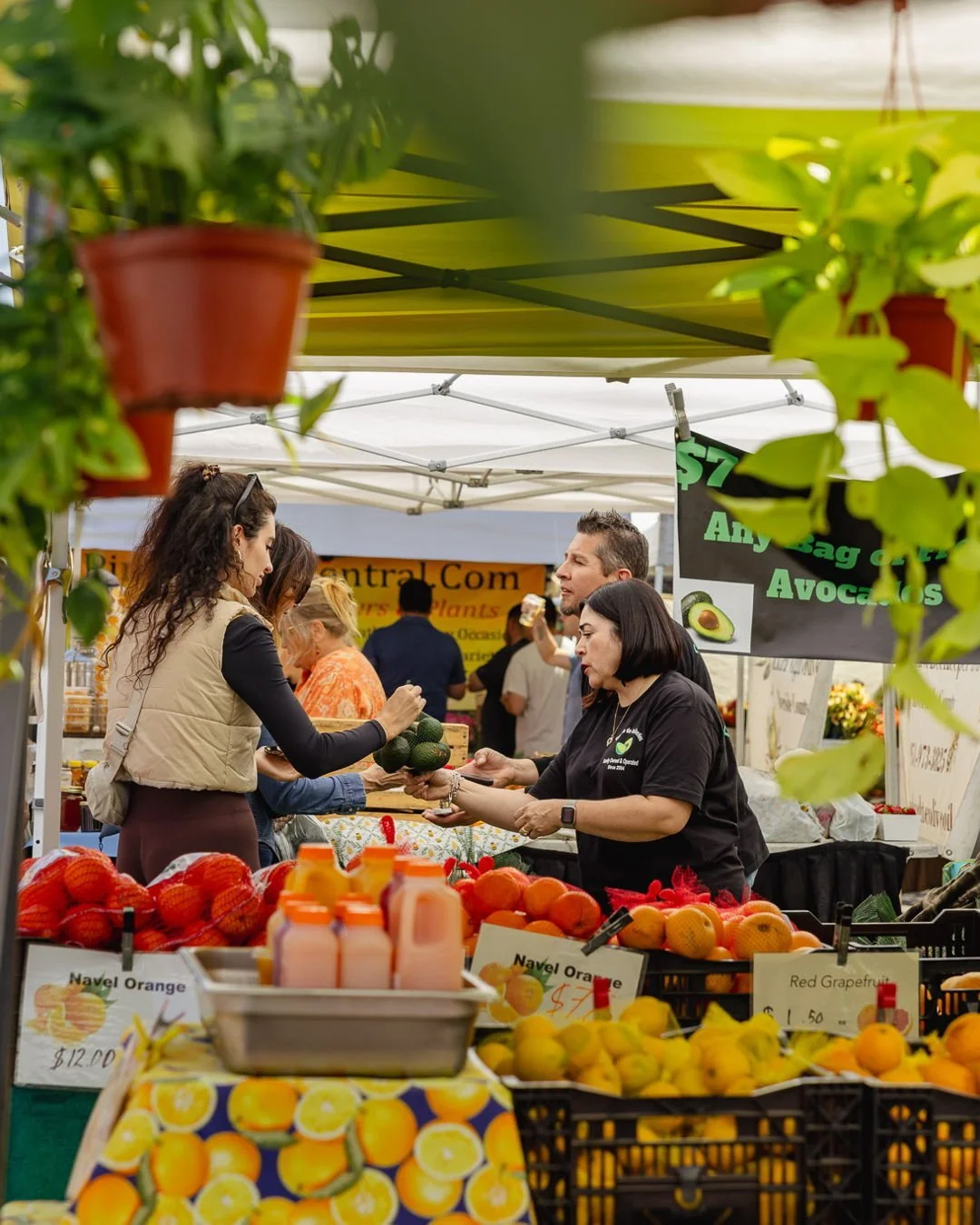 POV: It&rsquo;s Sunday in Hillcrest 🌈✨ 

Join us for another market day full of flavor, flowers, and fun all on University Ave until 2 PM! 🍣 🌻 🍓 

Oh and did we mention today got a little more colorful... our Pride Flag is back up flying high! 🏳