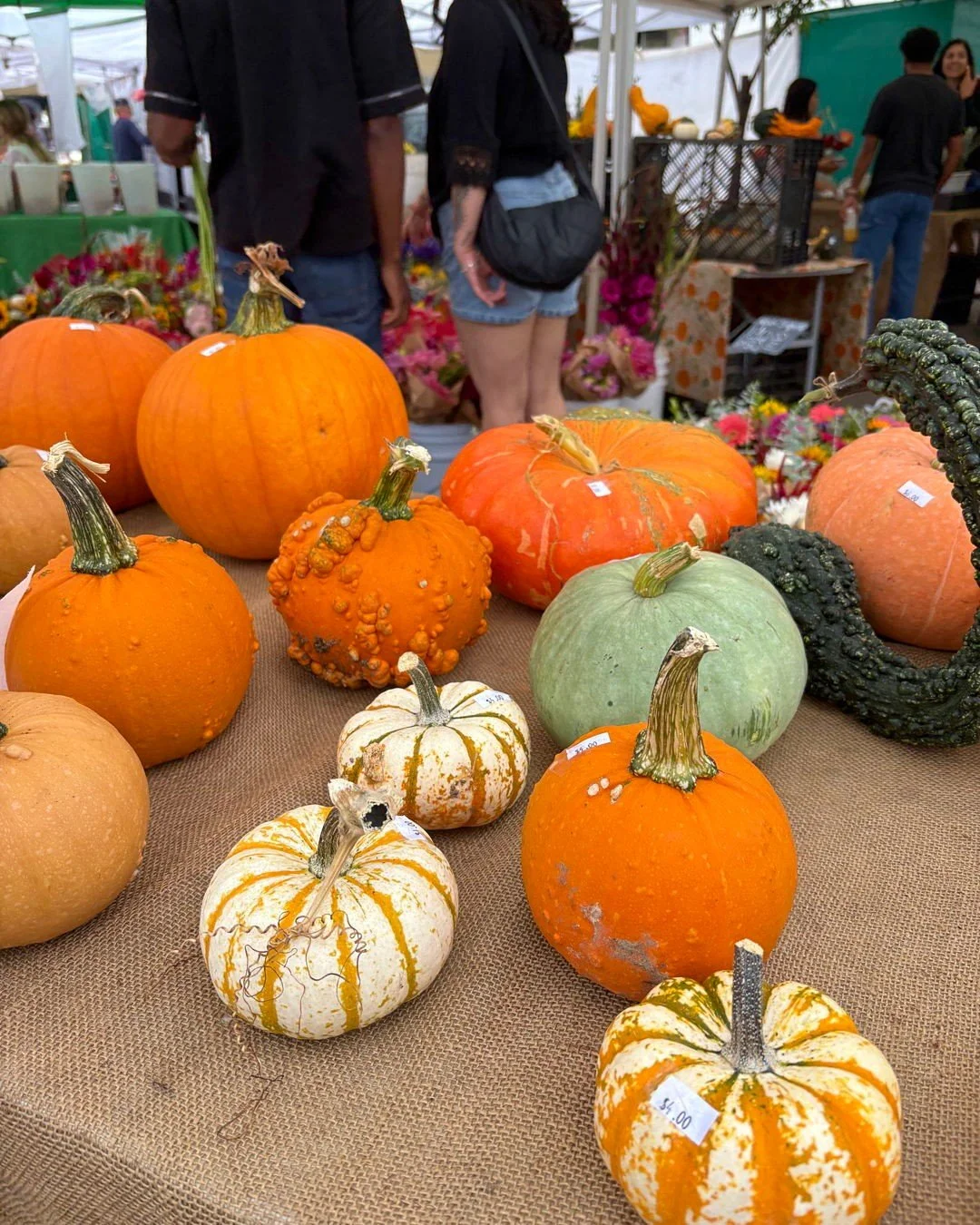 It was gourd-geous seeing everyone out yesterday!🎃 

The market was overflowing with flavor &amp; fall feels, we can&rsquo;t wait to do it all again next Sunday 🫶 💐 🍂 

#hillcrestfarmersmarket