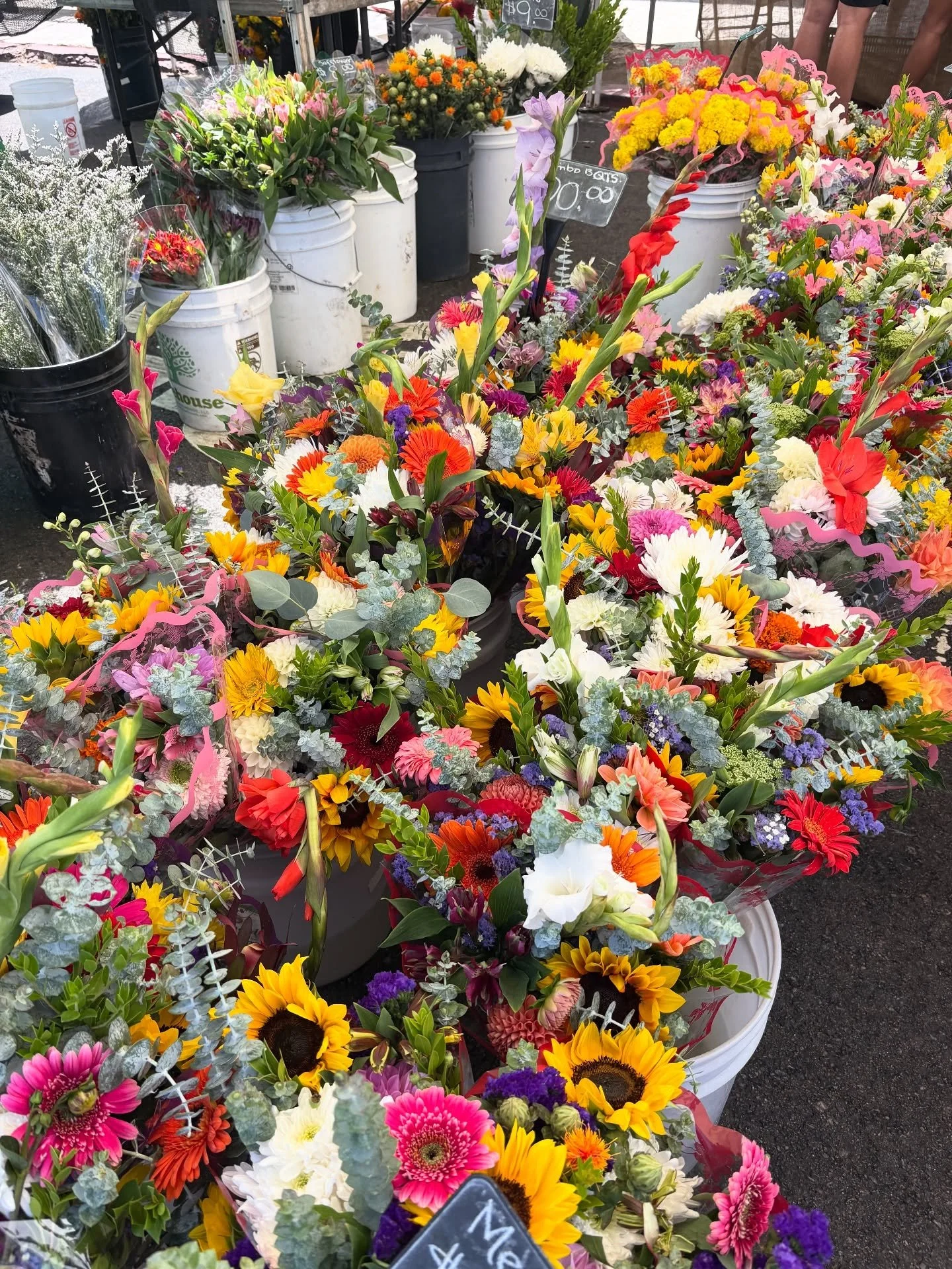if your seeing this take it as a sign to shop local with us today 🥕🍅🍇✨ 

the market is open and ready for you until 2 PM today on University Ave! 🌈

#hillcrestfarmersmarket