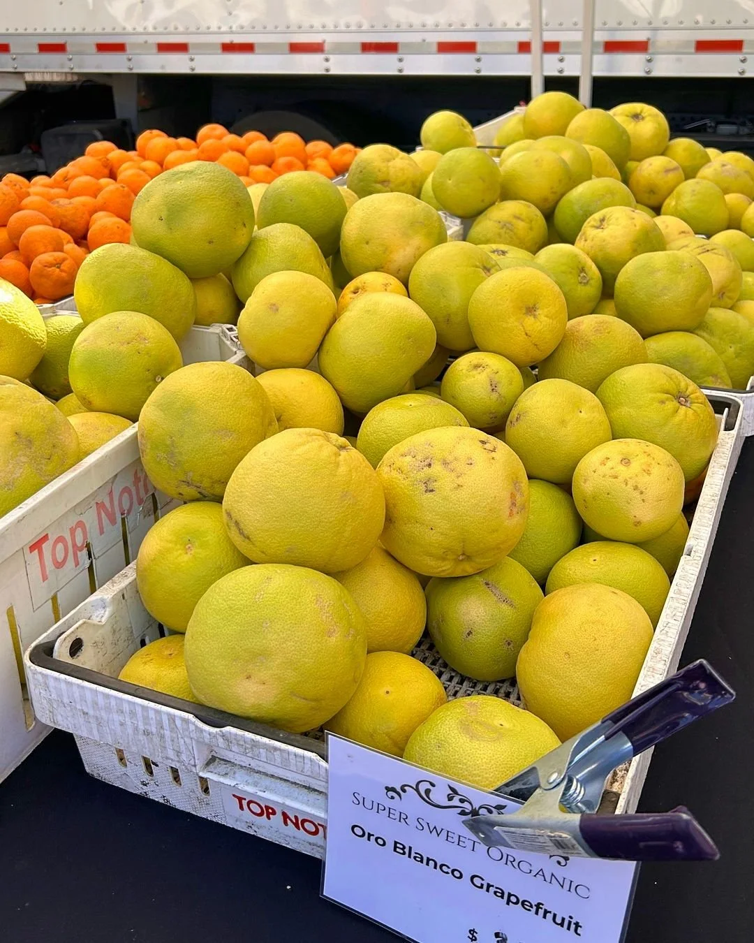 still riding the citrus high from yesterday&rsquo;s market 🍊 

citrus season is officially here and these grapefruits are bringing all the bold &amp; bright energy we need to start the week✨