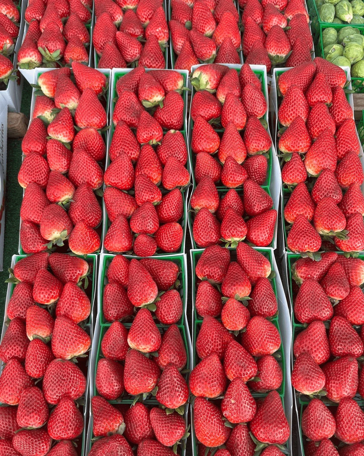 STRAWBERRY SZN 🍓✨

And at the market&hellip; we&rsquo;re doing it EVERY way 😌👇

🍓 Fresh + perfect for snacking from our farmers 
🍫 Dubai chocolate&ndash;covered  @the.berry.stand
🥣 In yogurt from @yallatizers
🍌 Strawberry flavored @louisanaban