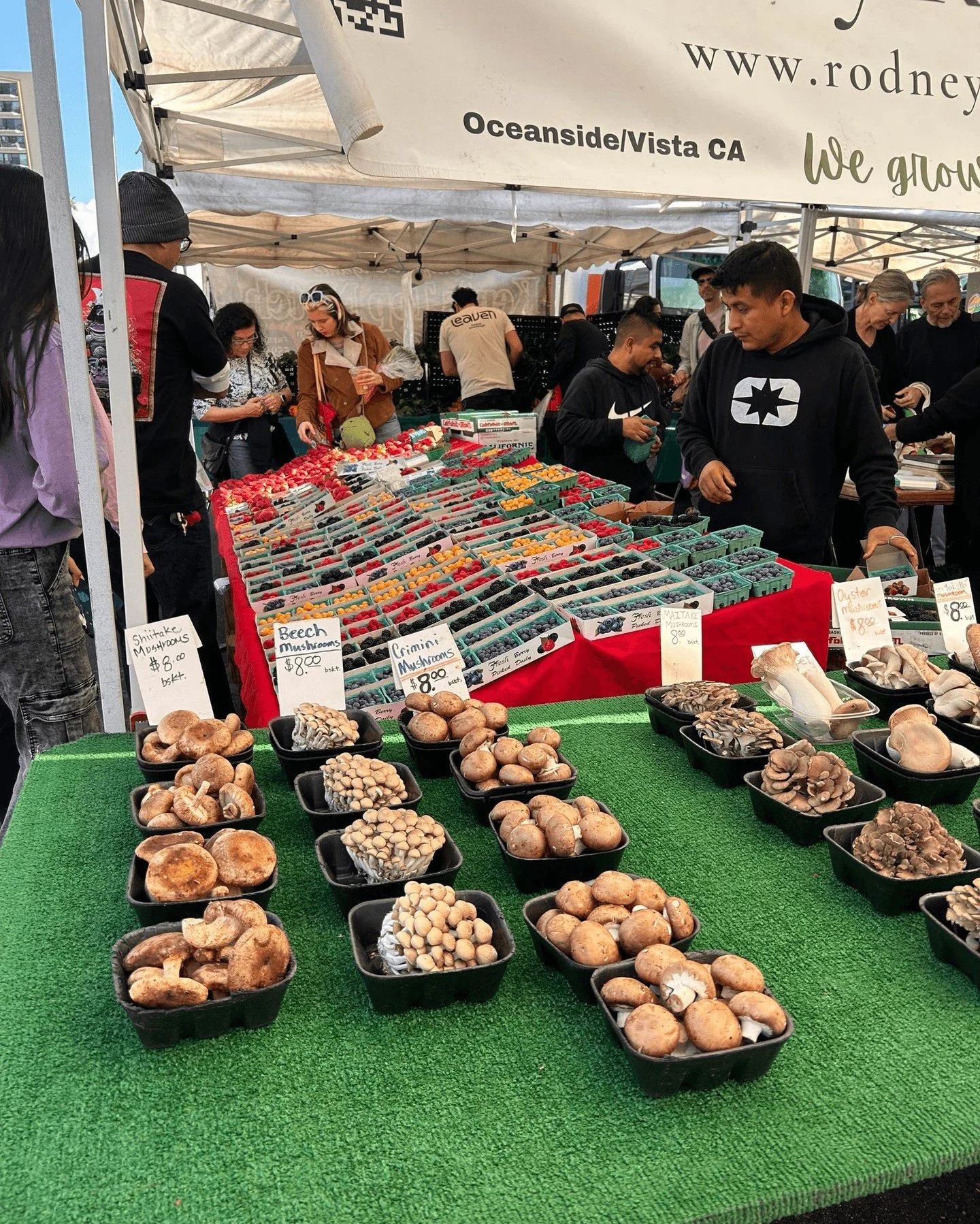 Just a midweek check-in to say&hellip; the farmers market misses you too 💌 👨&zwj;🌾 

We can't wait to see you all this Sunday on University Ave✨ 

#hillcrestfarmersmarket