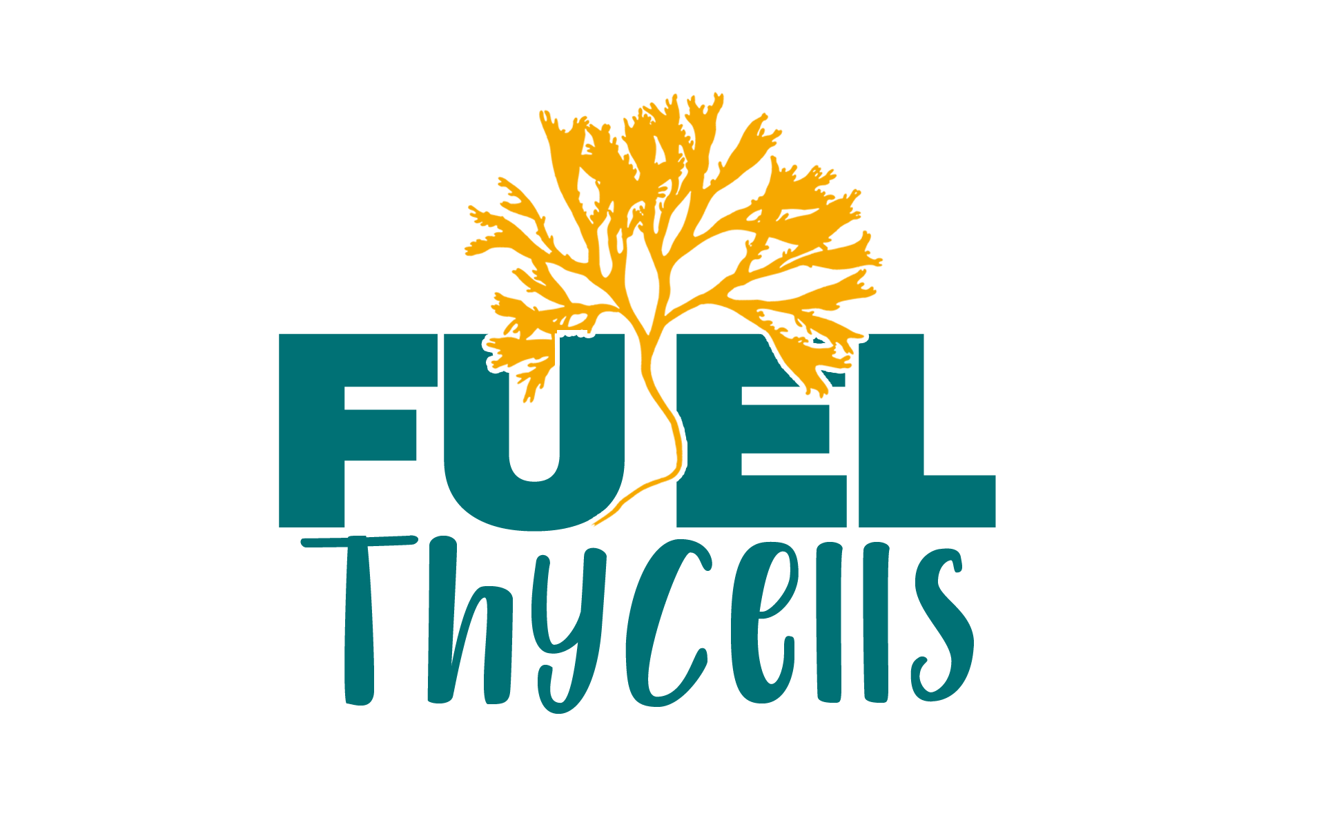 fuel (1) - TEAM FUELTHYCELLS.png