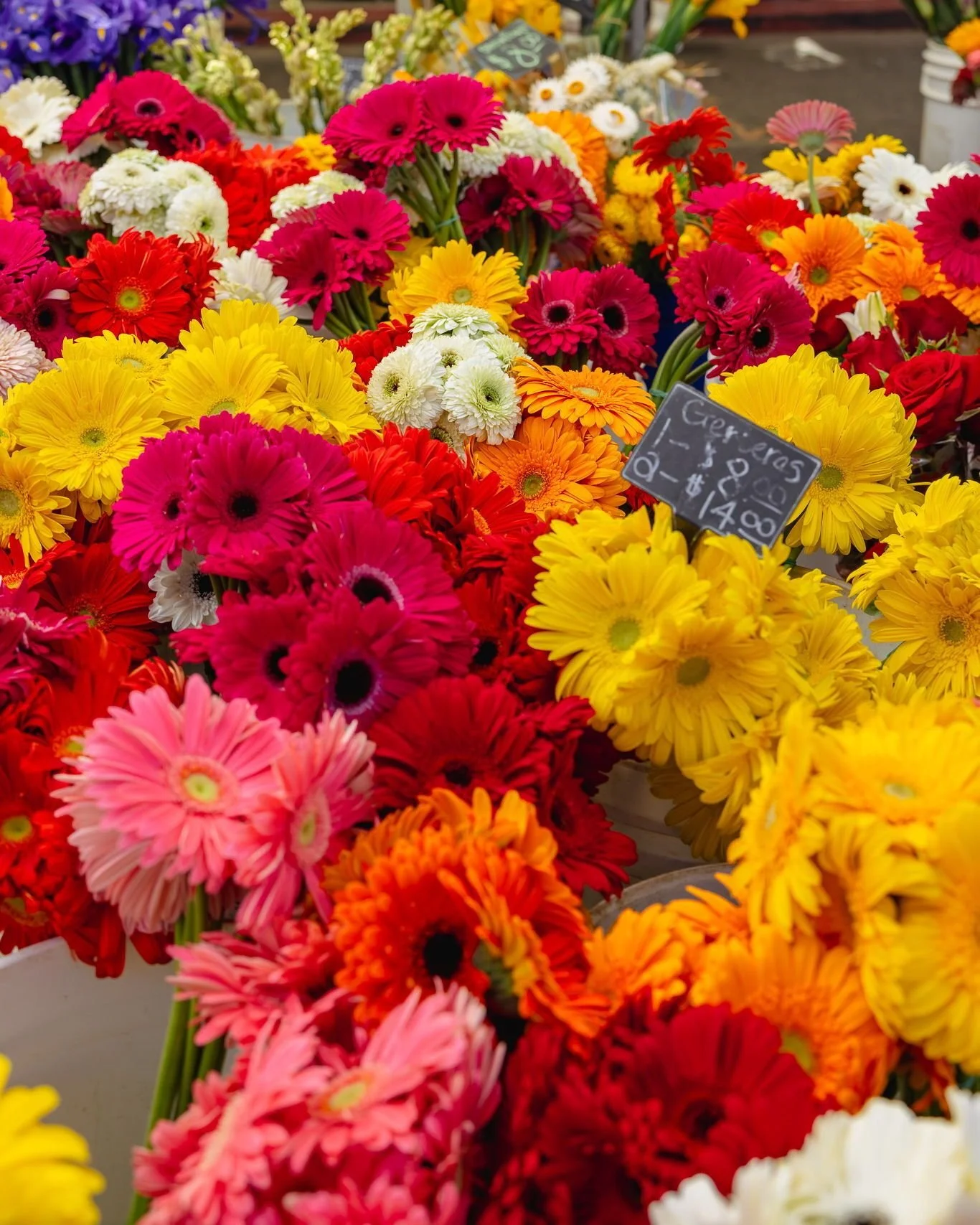 Spring is around the corner and the Hillcrest Farmers Market is the perfect place to welcome it 🌸

Spring forward with us this Sunday ✨️☀️ 

📍 University Ave (between Herbert St. &amp; Park Blvd.)
🕘️ 9 AM - 2 PM

#hillcrestfarmersmarket