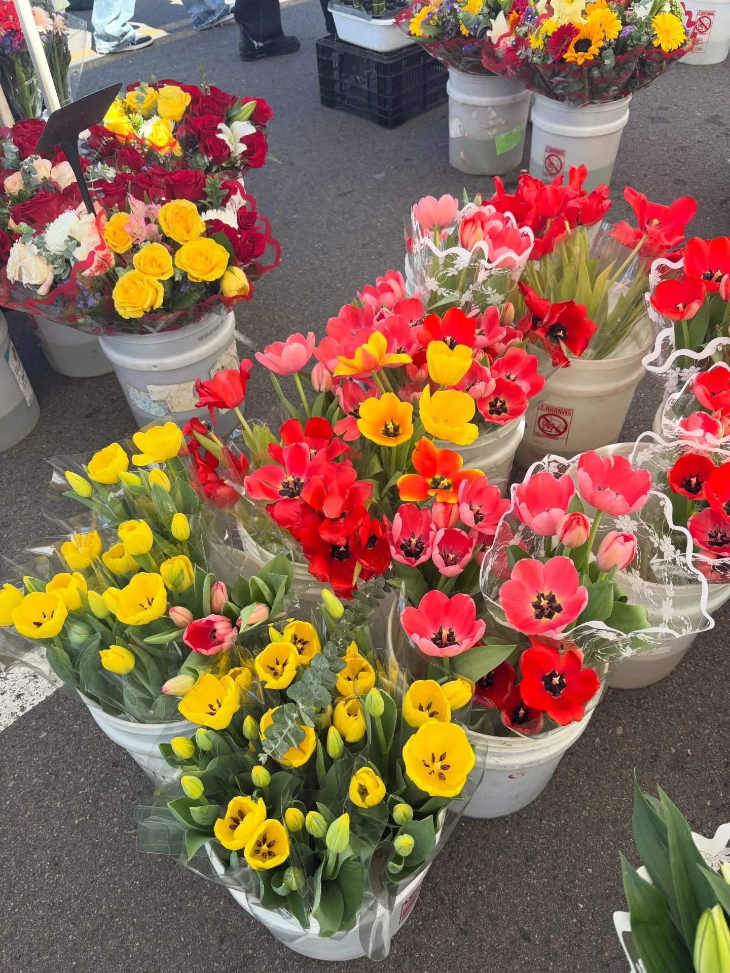 The market is in full bloom 🌷 

Come stroll University Ave, stock up on local produce and goods, and enjoy the Sunday vibes at the Hillcrest Farmers Market 💛

Open until 2 PM!☀️

#hillcrestfarmersmarket #supportlocal