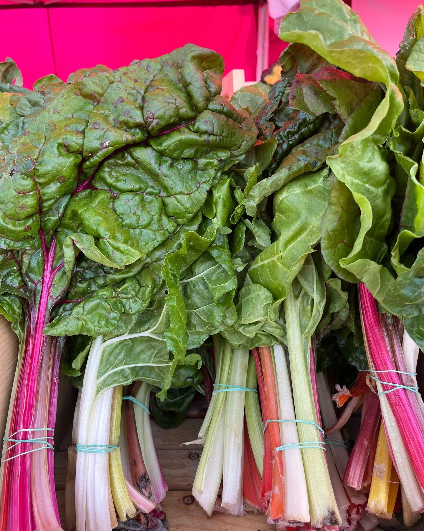 Plot twist: the rainbow didn&rsquo;t lead to a pot of gold&hellip; it led to rainbow chard at the Hillcrest Farmers Market... way easier to carry home than a pot of gold! 🌈🥬 

Be sure to stock up on your greens today at the market and add a little 