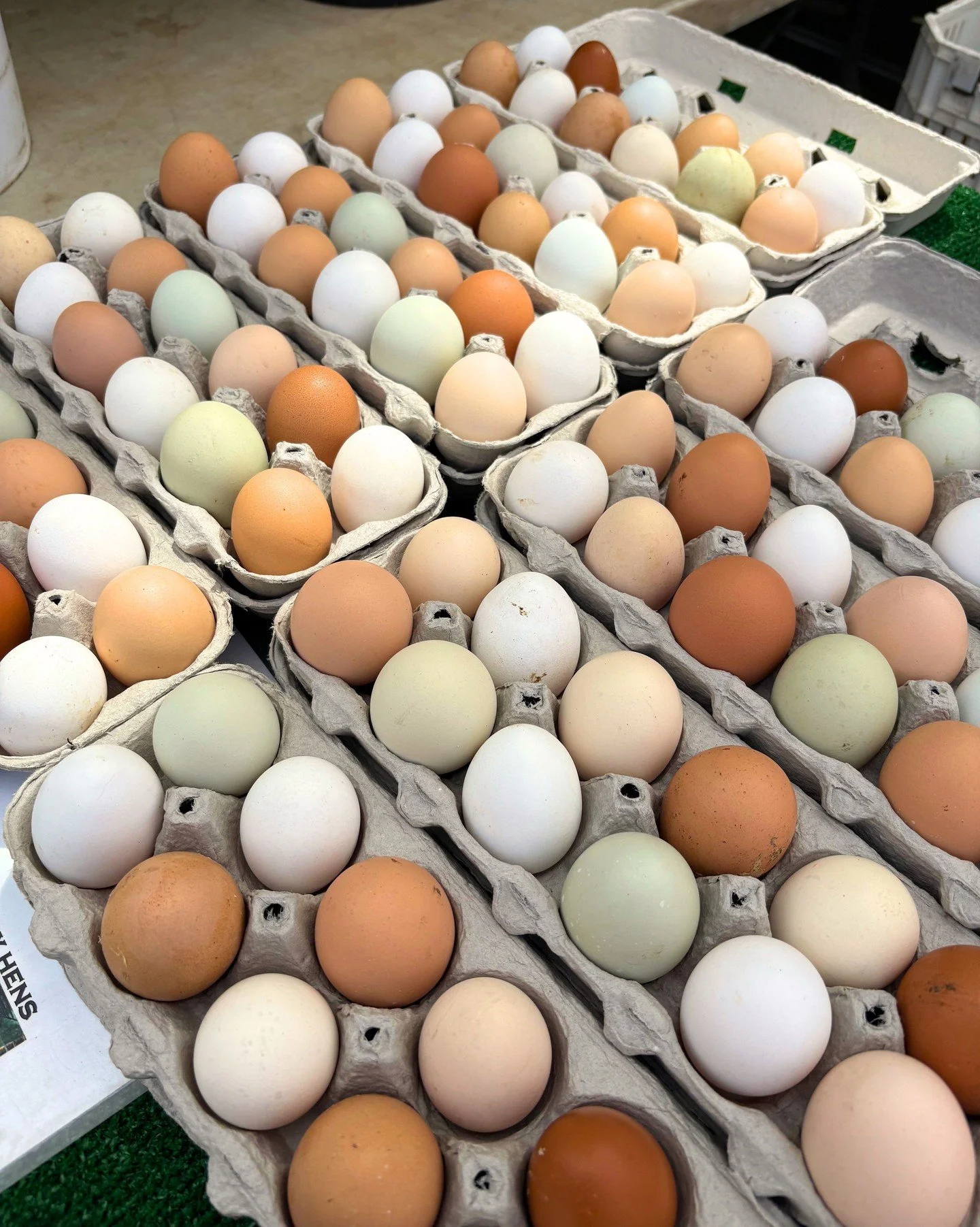 The market is EGG-actly where you want to be this weekend!

Join us Easter Sunday from 9 AM - 2 PM, spend the holiday with us, and get your last minute items for the perfect Easter spread 🐣 💛 

#hillcrestfarmersmarket #eastersunday #sandiegomarkets