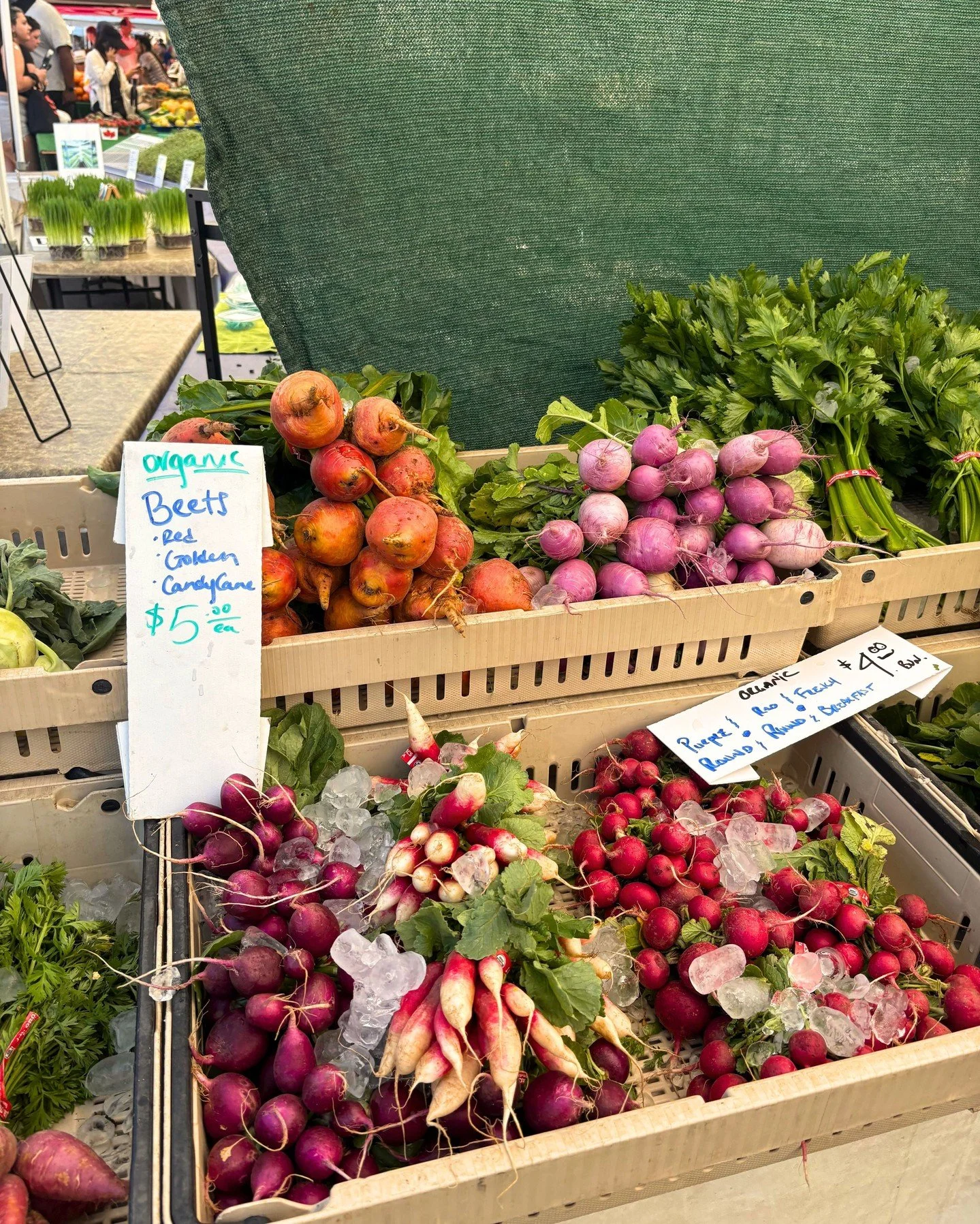 Don&rsquo;t miss a BEET&hellip; it&rsquo;s market day! 🫜 

Fresh produce, local vendors, and your Sunday plans all in one place #FabulousHillcrest ☀️ 

📍 Hillcrest Farmers Market | 9 AM&ndash;2 PM 

#HillcrestFarmersMarket