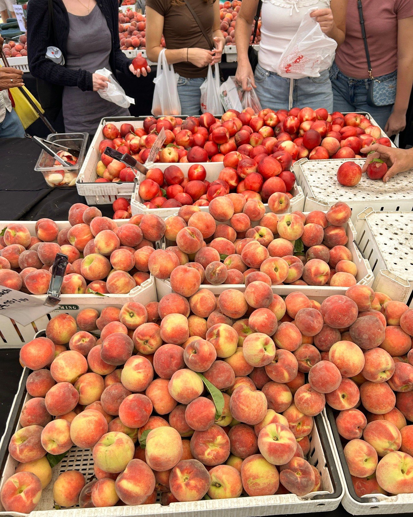 We spy with our little eyes&hellip; the start of stone fruit season 👀🍑✨ 

#hillcrestfarmersmarket