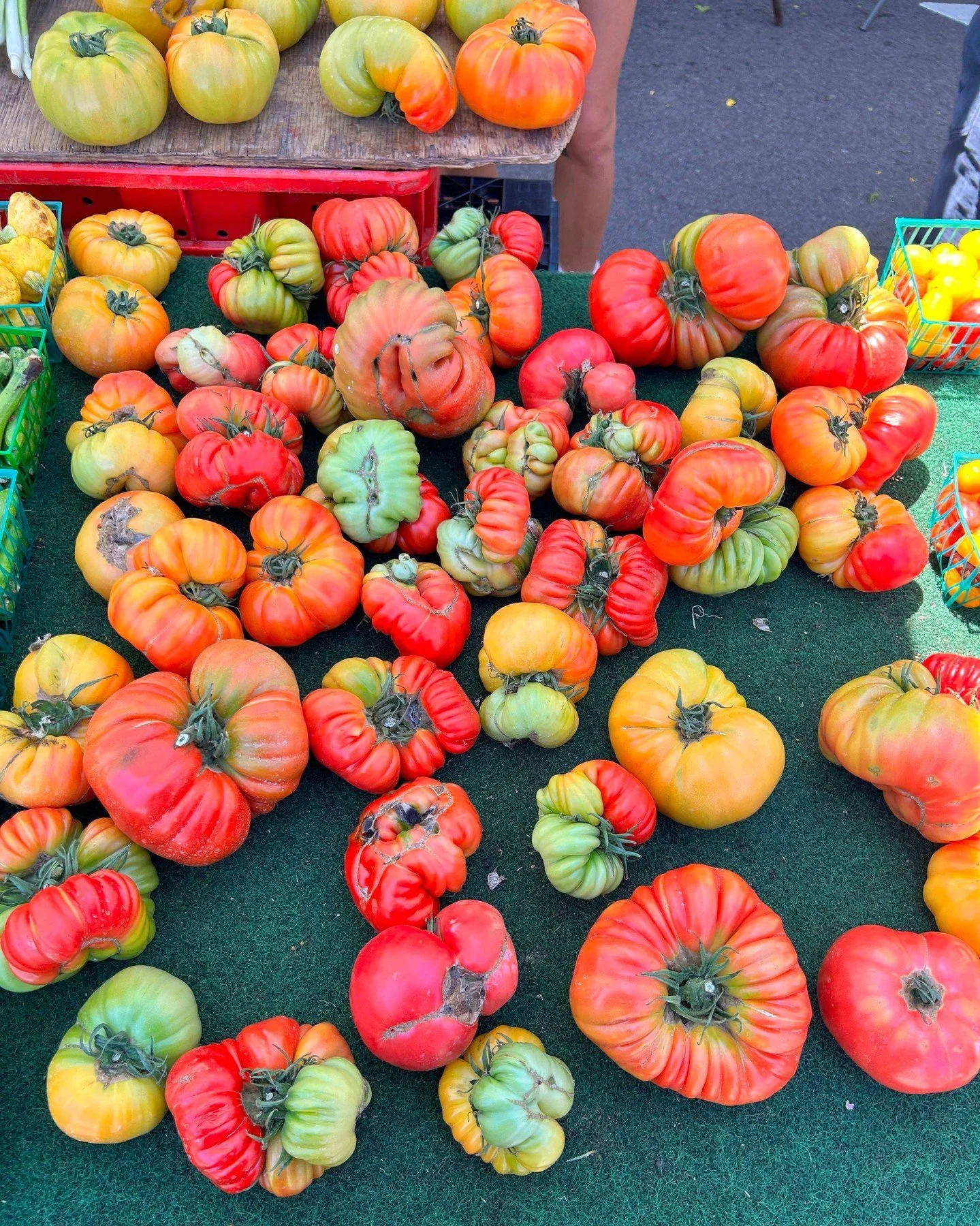 Produce clocked in and said color palette is part of the job🌈🥕🍅🫐 

#HillcrestFarmersMarket