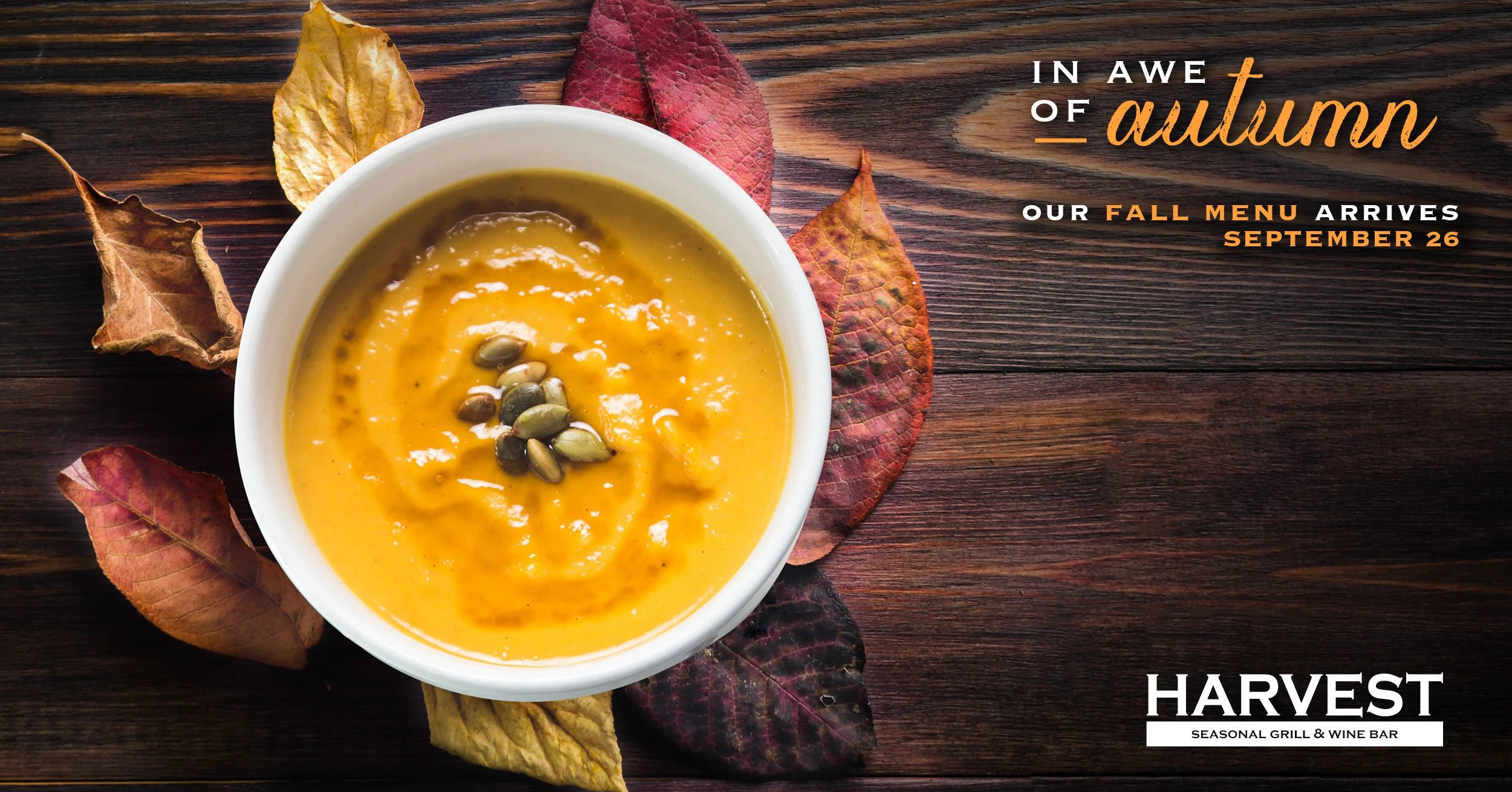 Harvest_Fall_Teaser_Local_Awaress_08.09.18.jpg