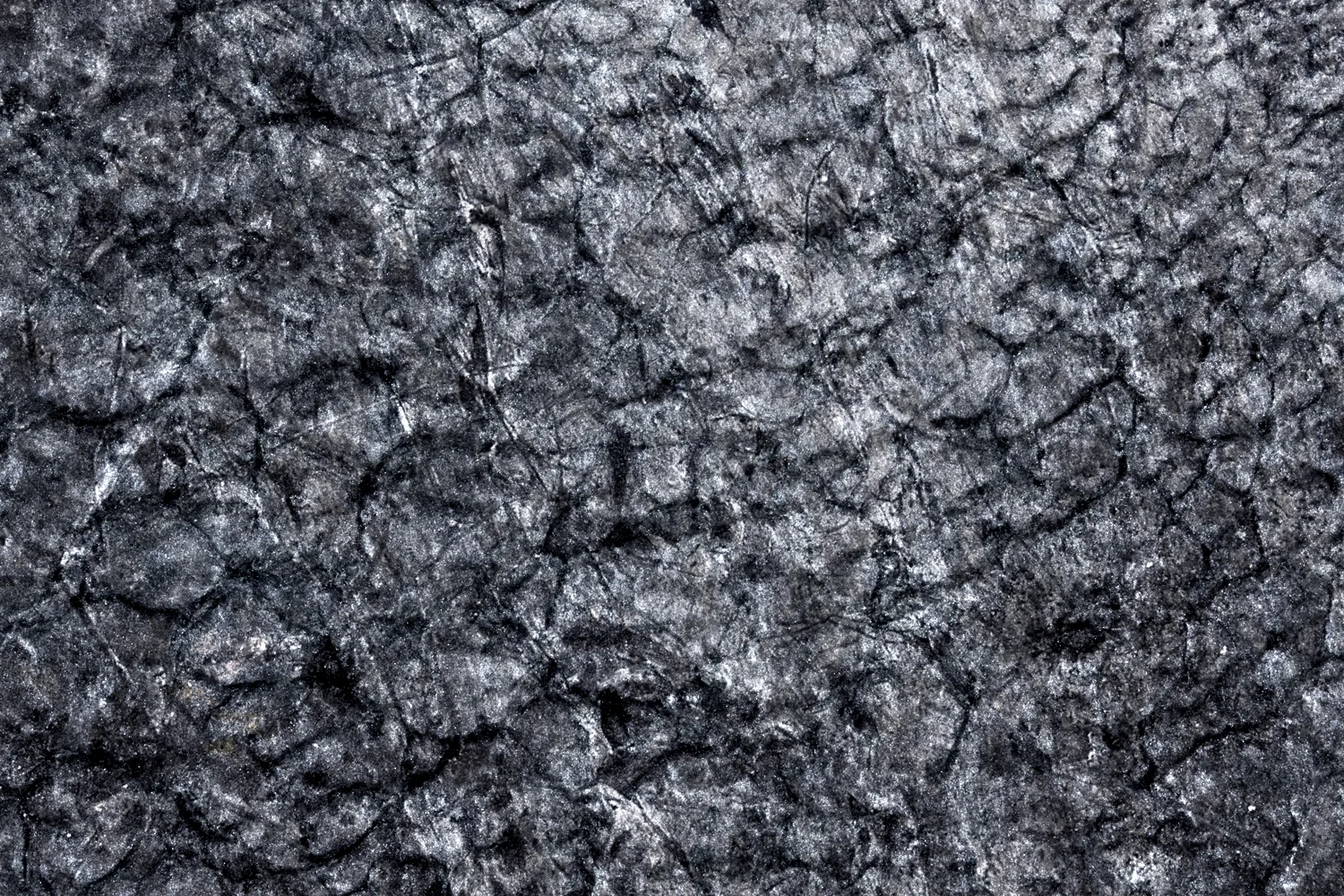 LE_03.jpg