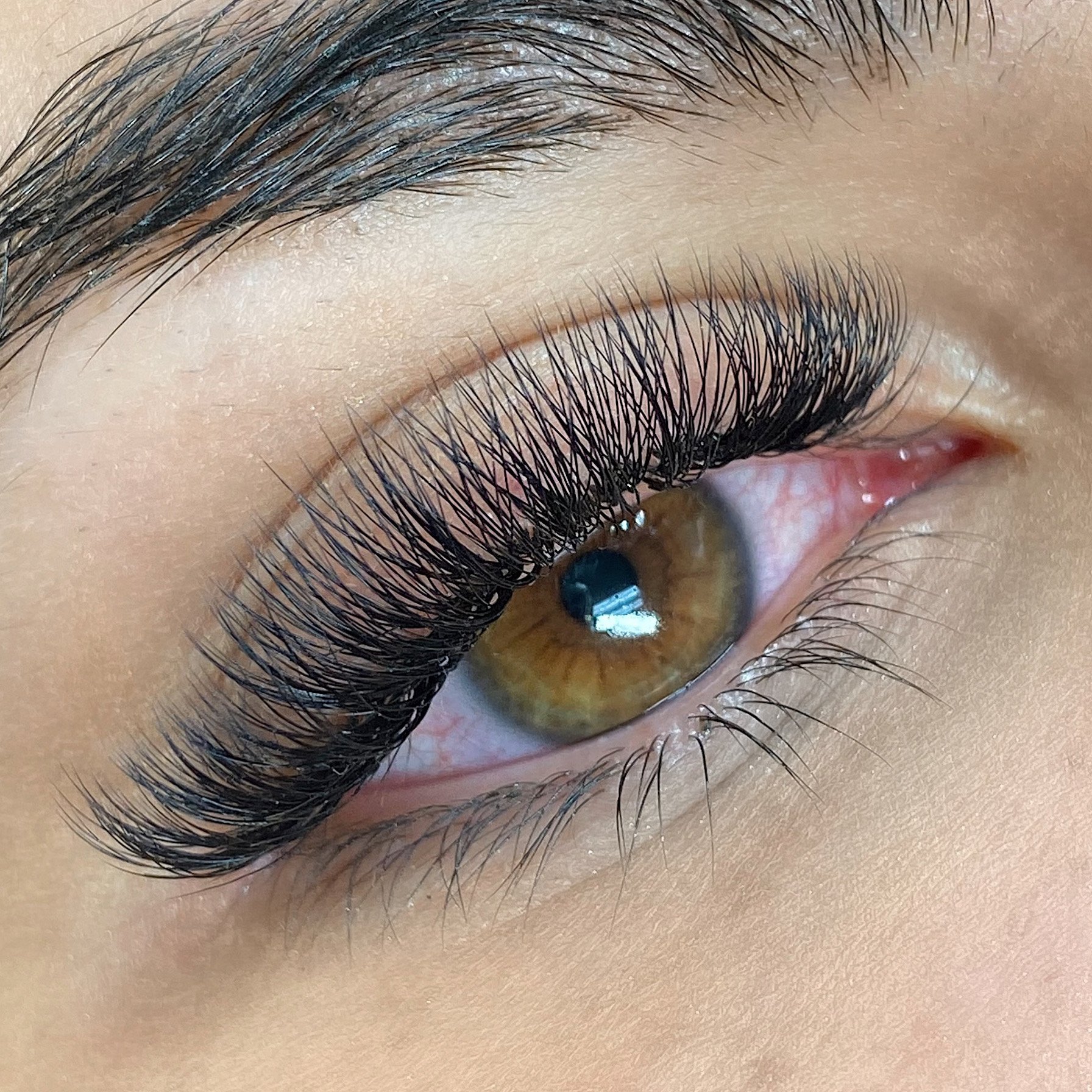New Orleans Volume Lashes 