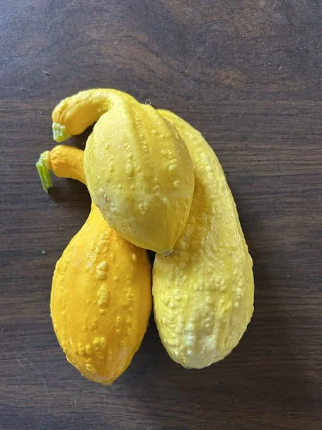 summer squash.jpg