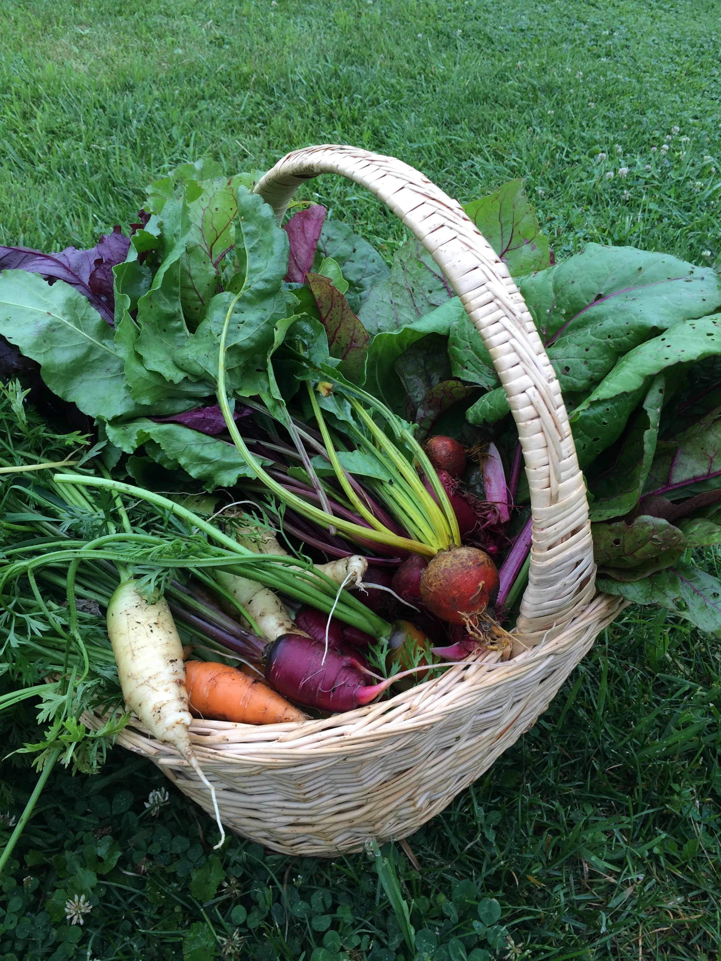 carrots+beets