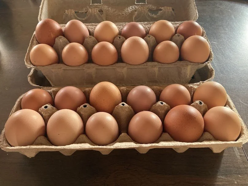 eggs-2 dozen.jpg