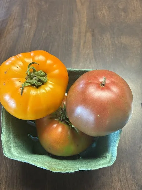 large heirloom.jpeg
