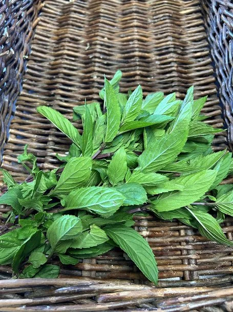 mint.jpg